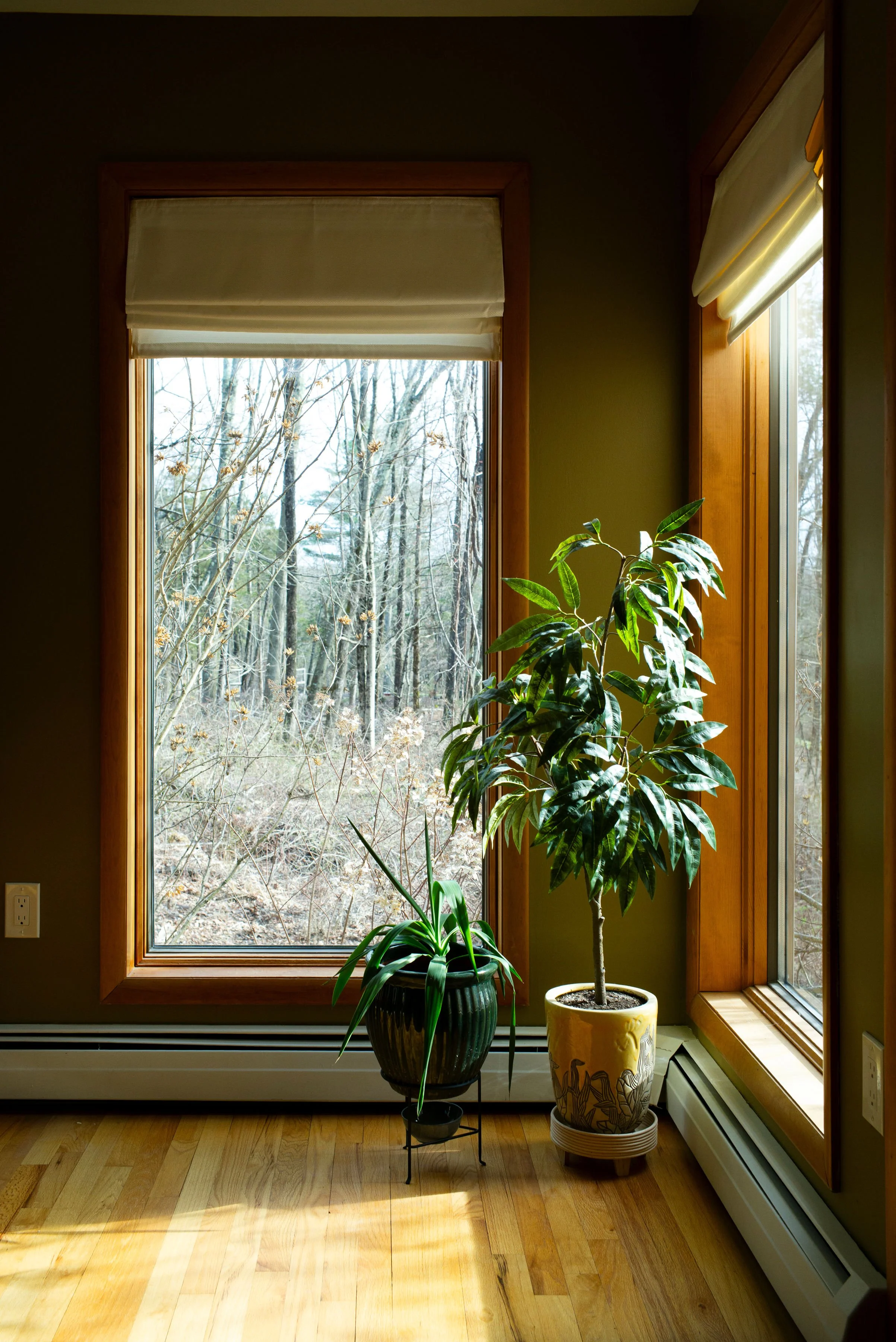 L1006726.jpg