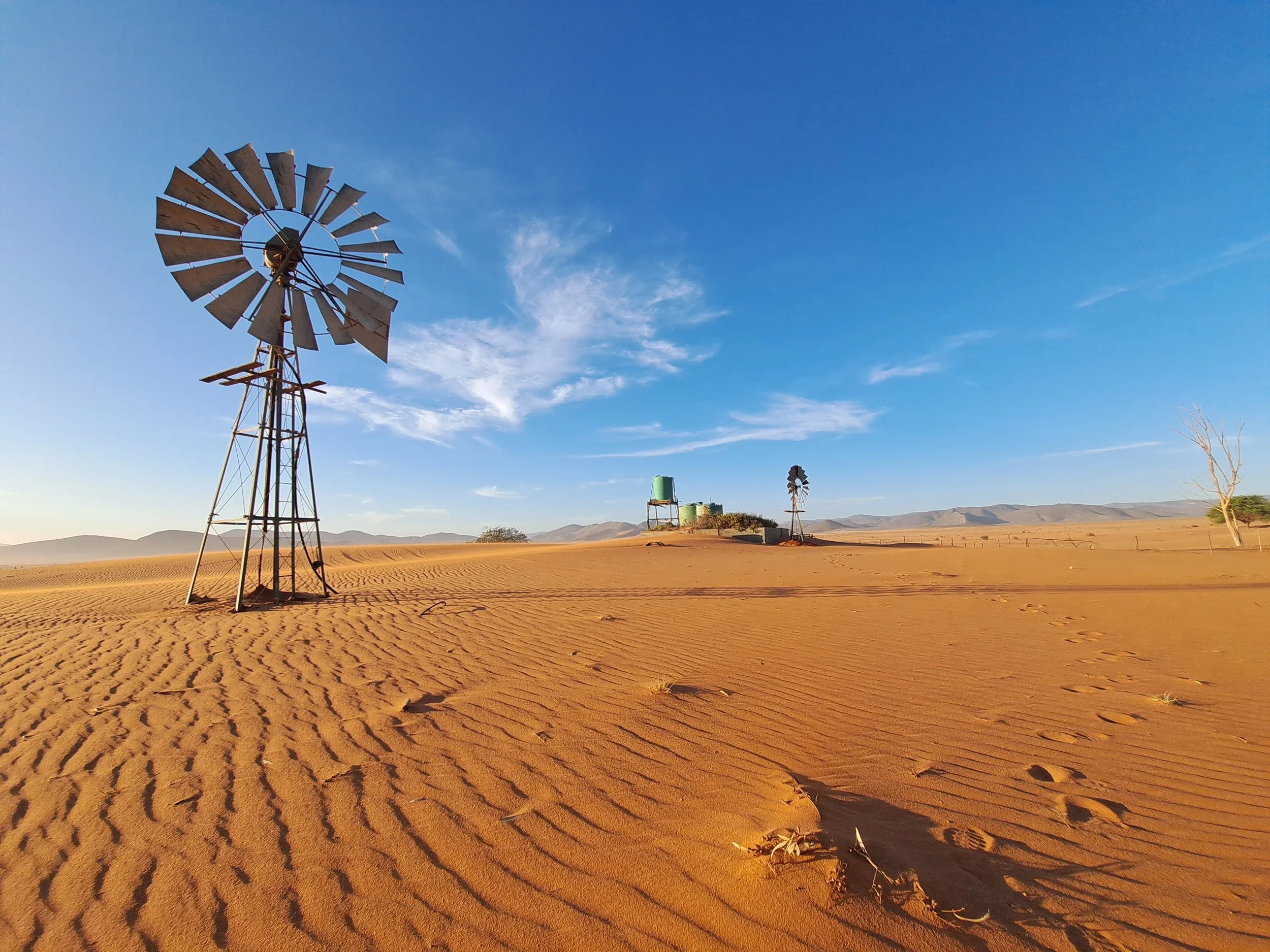 Fabulously flotsammed