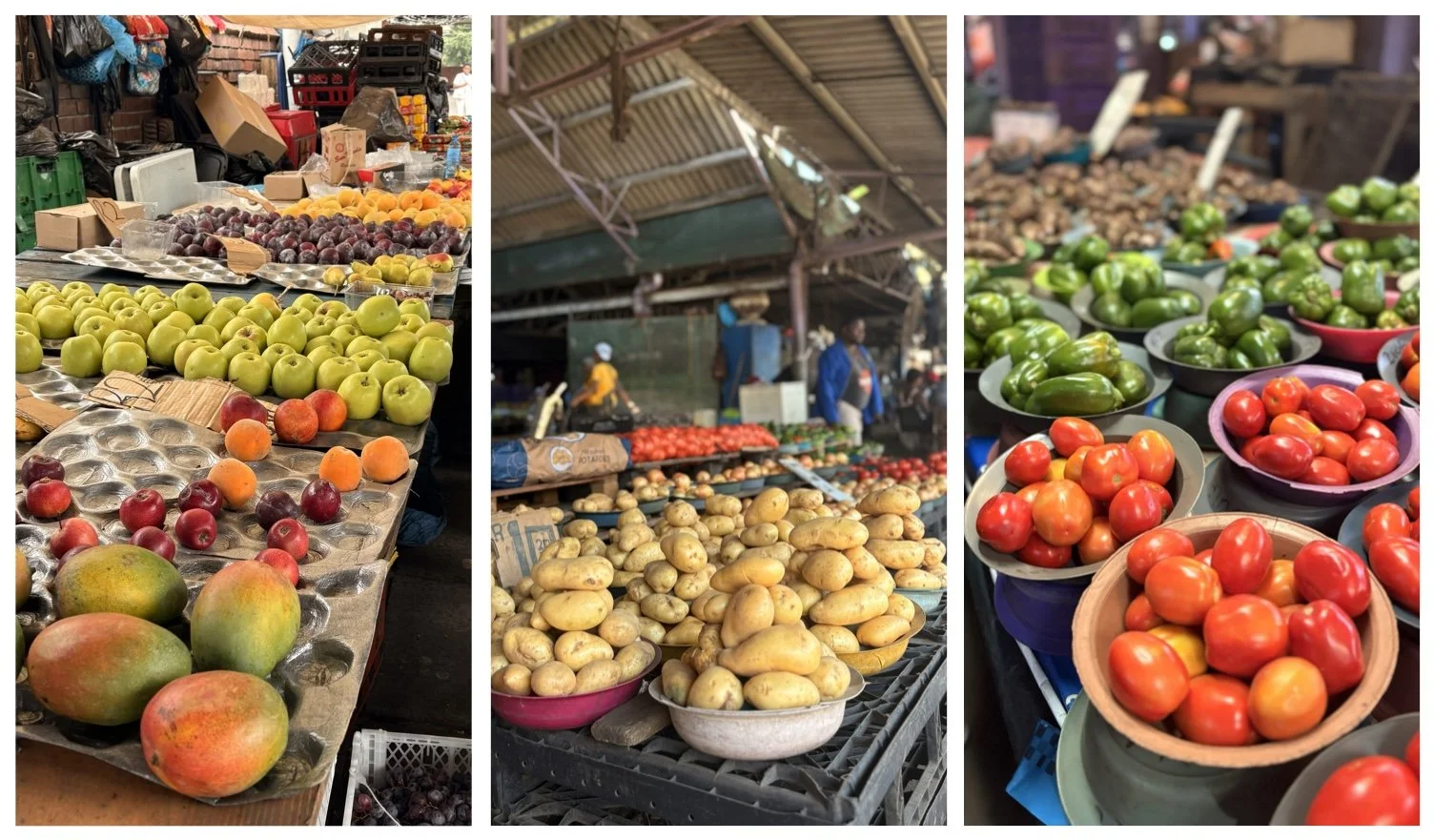 The informal economy is here to stay