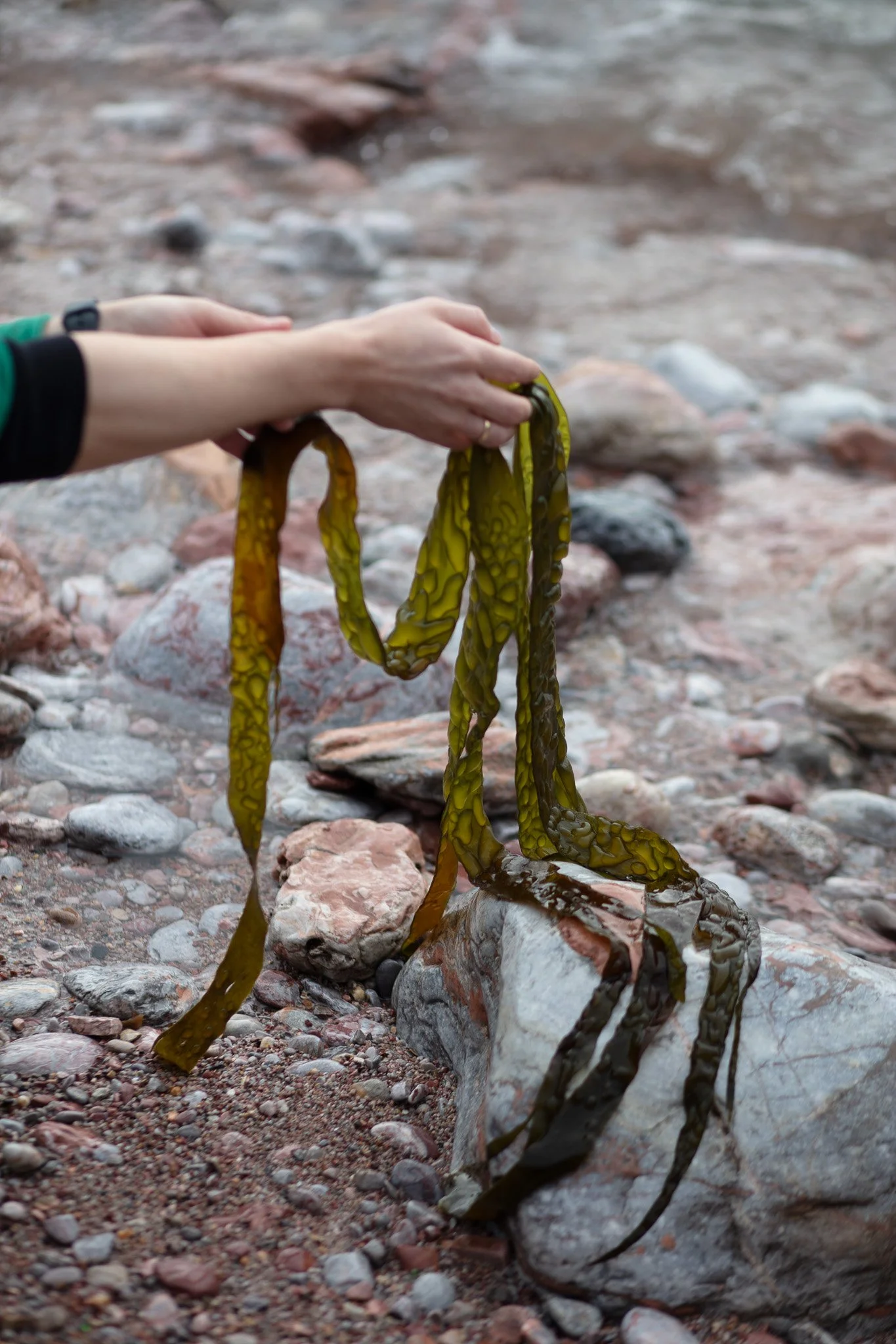 A DIALOGUE WITH THE SEA: THE BLUE SPARKS JOURNEY