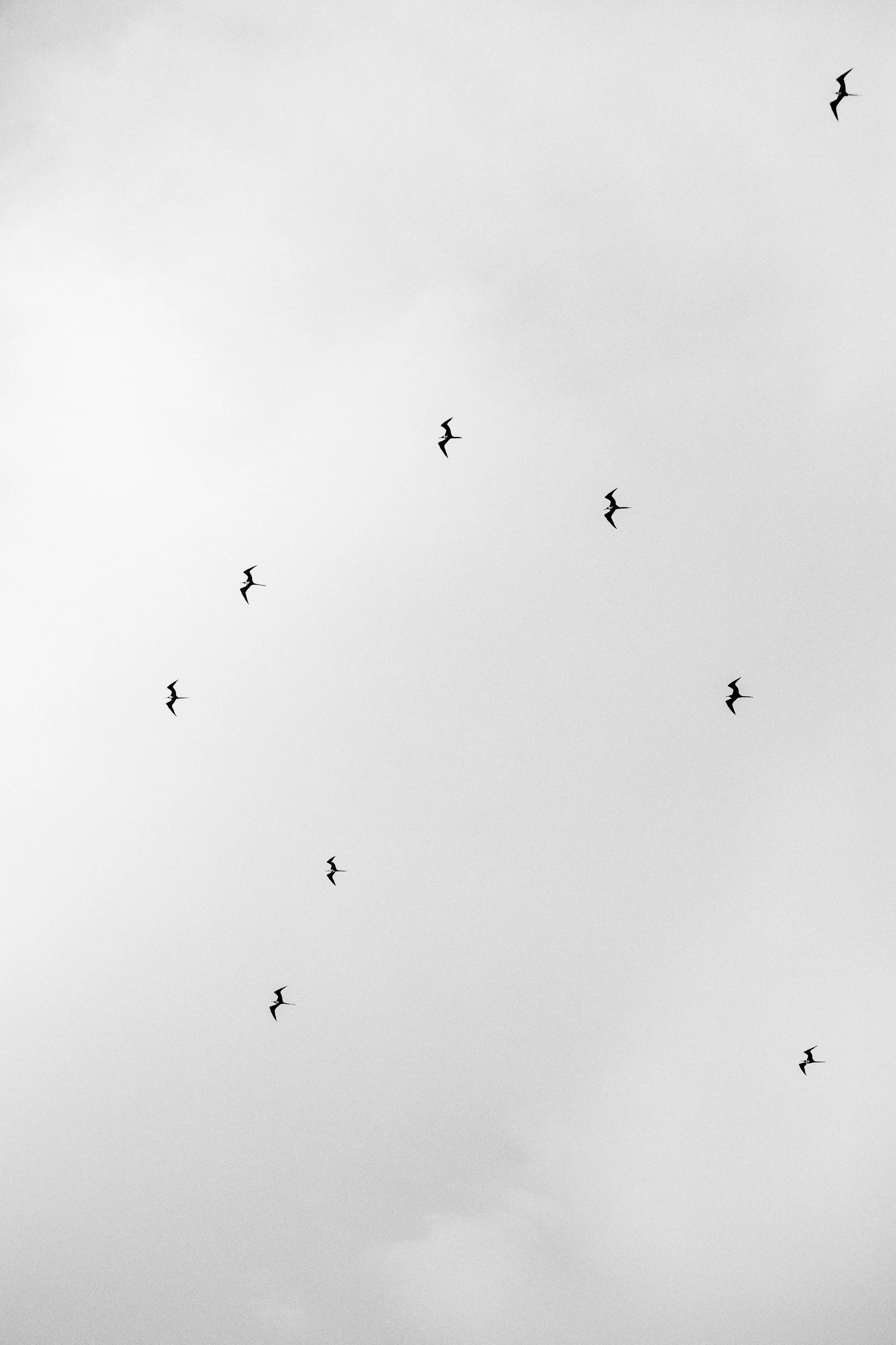 2E8A6798.jpg