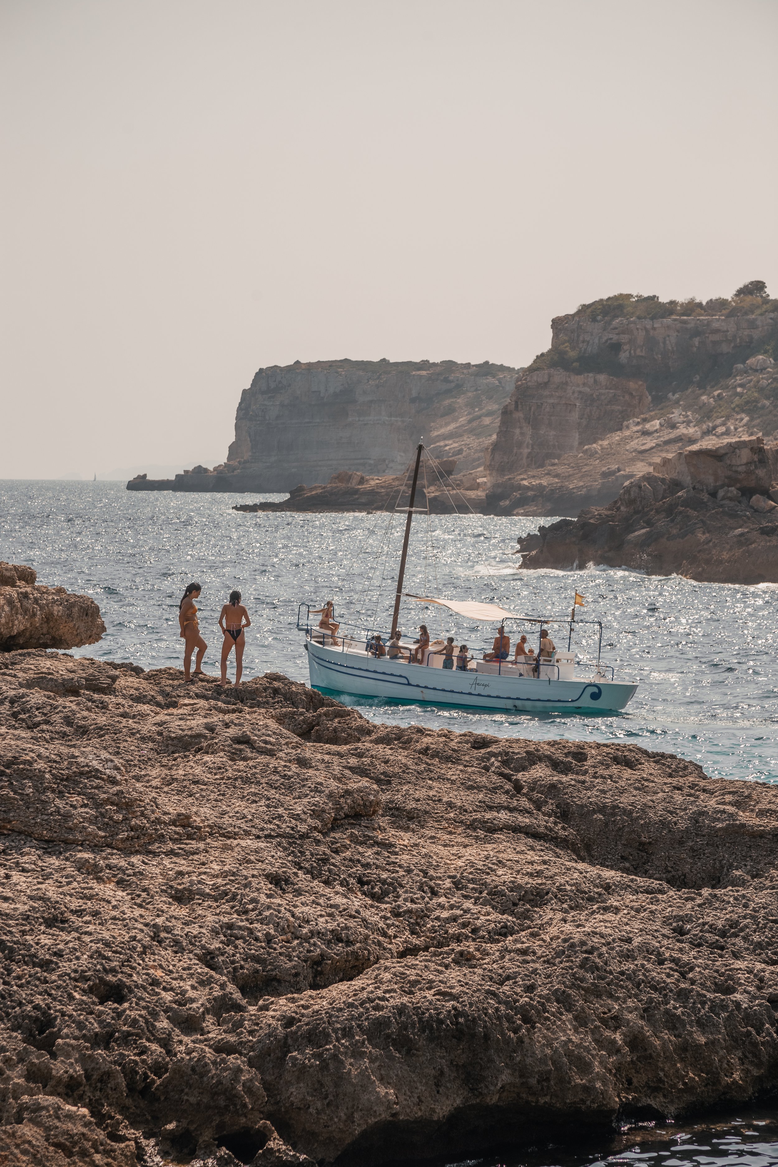 Mediterranean Life.jpg