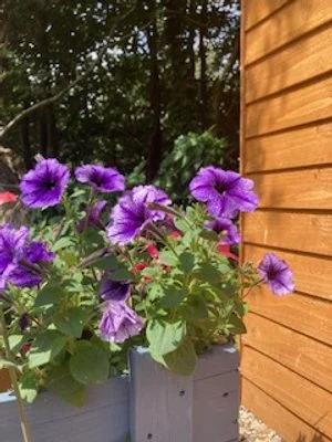 image2 (1).jpeg