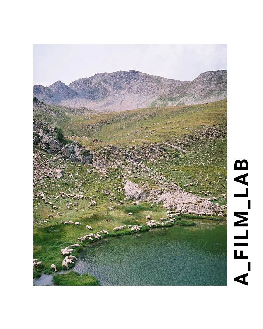 The result of a recently developed film for @a_film_lab 

Shot on the legendary Fujifilm 400H and, developed in our Fujifilm Minilab FP232B developing machine, and scanned on our Fujifilm SP3000 scanner. Talking about a full circle moment! 😄

Thanks