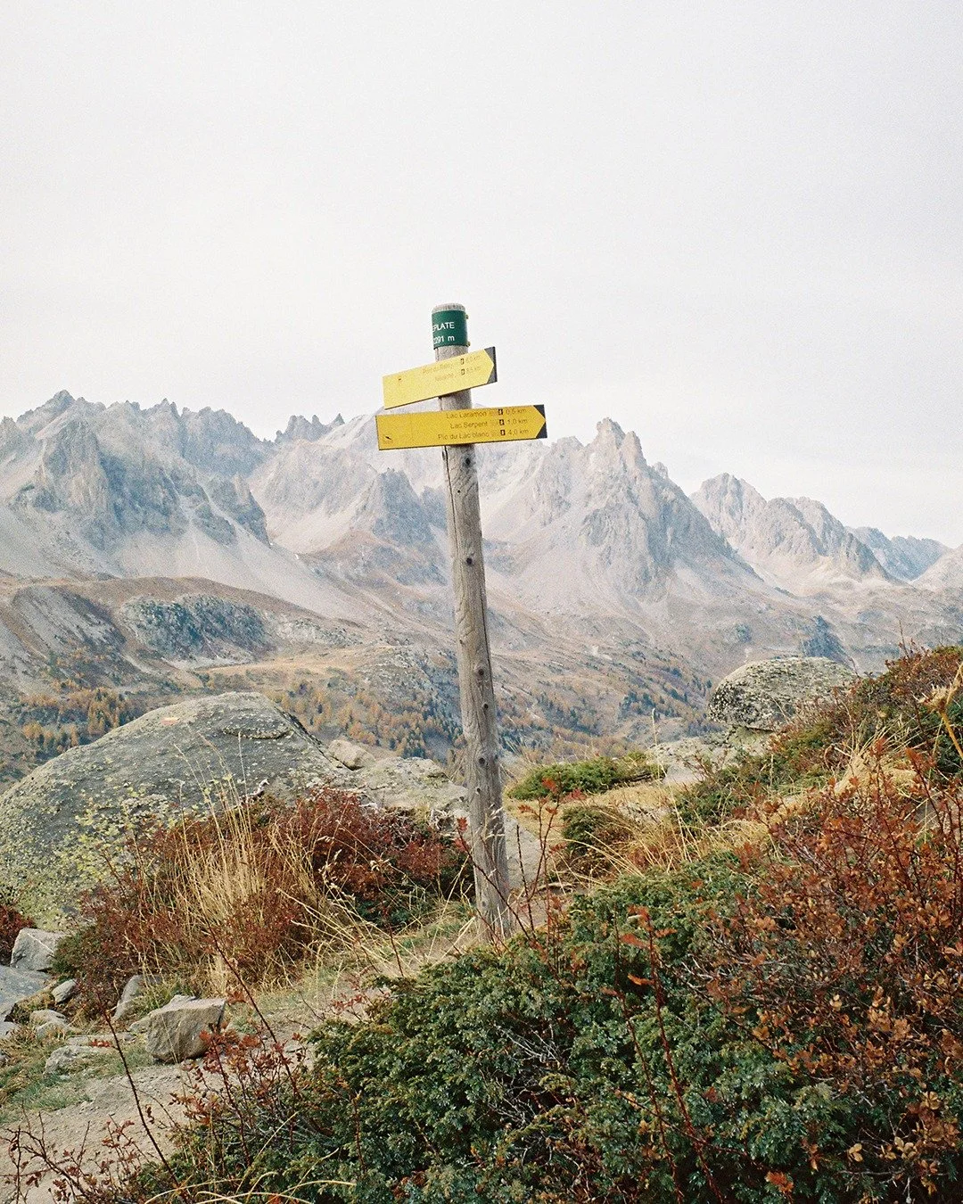 Shot on Lieca M6 with 35mm Summicron V with Kodak Ultramax. 
Developed by us and scanned with Fujifilm Frontier SP3000 with the 'All Soft' setting. 
Just how my good friend @a_film_lab likes it! 😉

#kodakultramax400 #leicam6 #fujifrontiersp3000