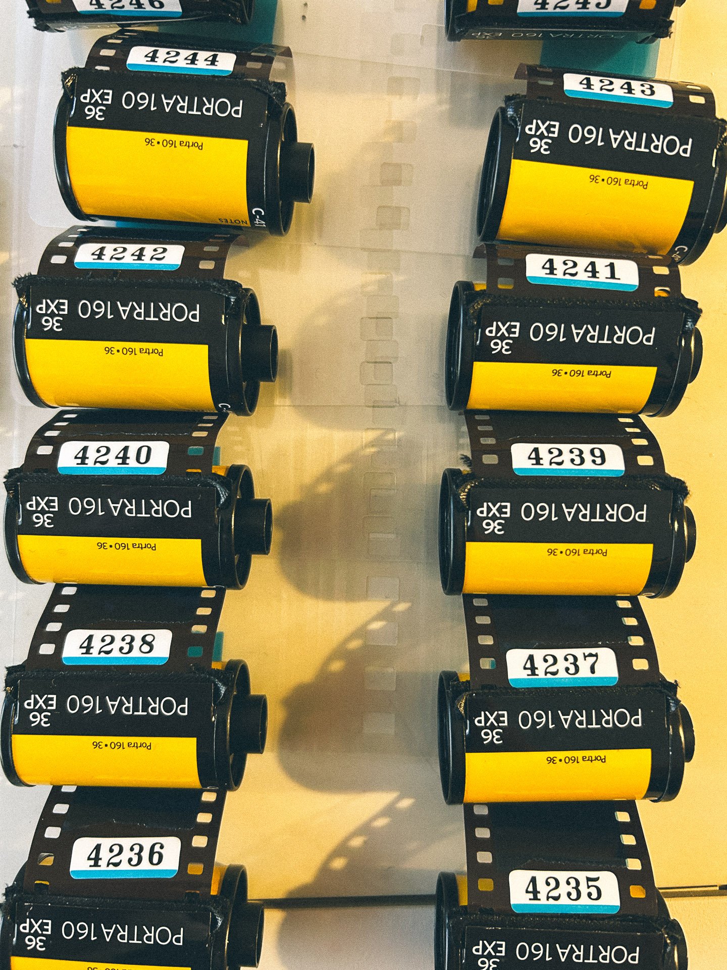 A collection of Kodak Portra 160 35mm film canisters with labels showing serial numbers, arranged vertically on a light surface.