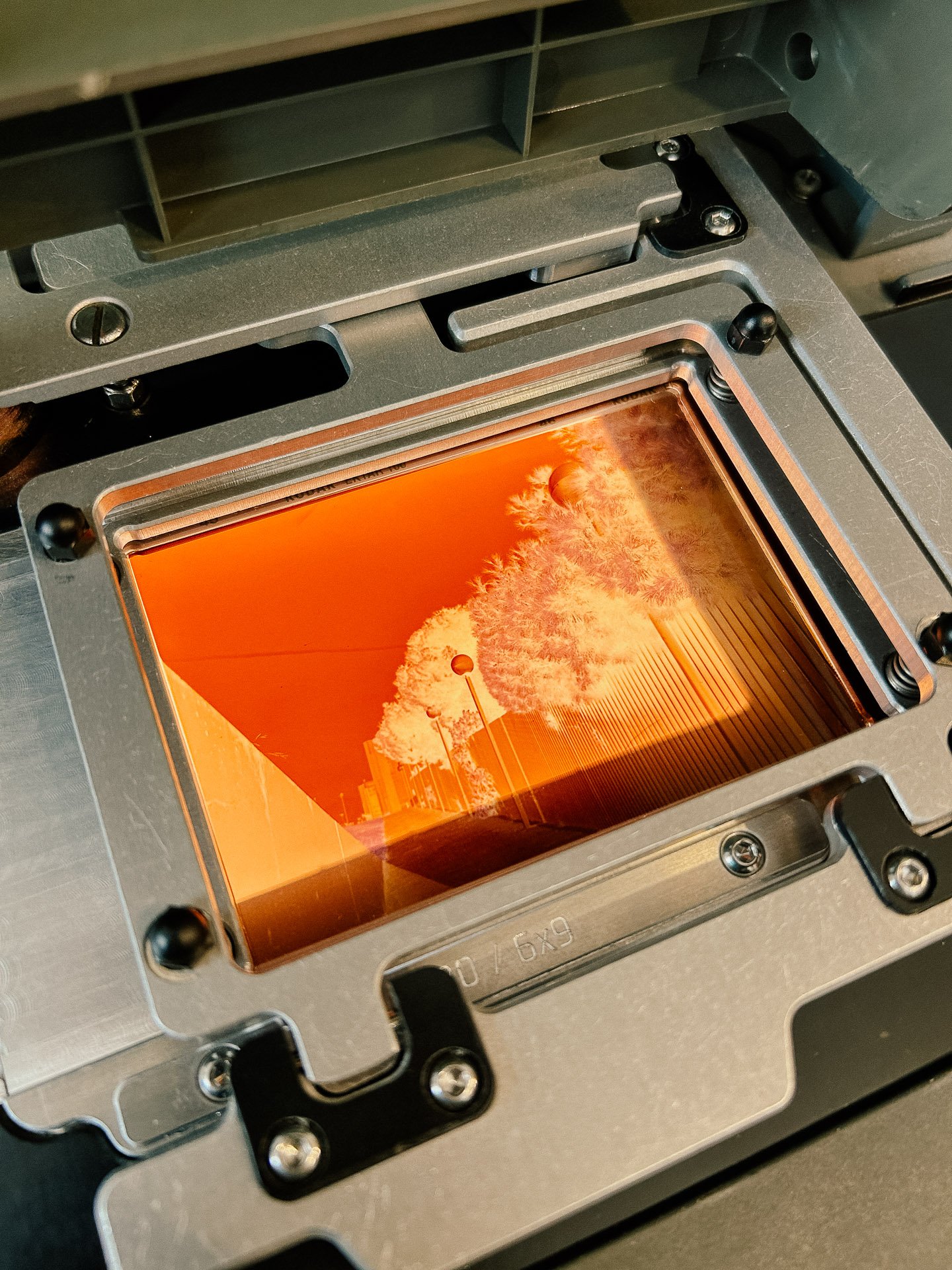 Close-up of a color film negative in a film scanner with visible outdoor scene.