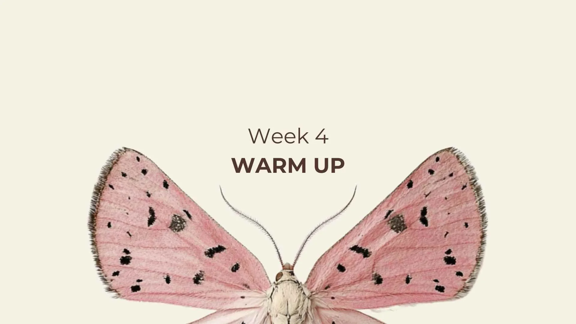 W4 Warm up.jpg
