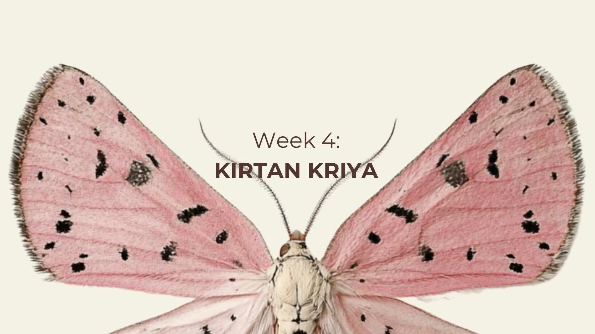 Kirtan Kirya Practice short.jpg