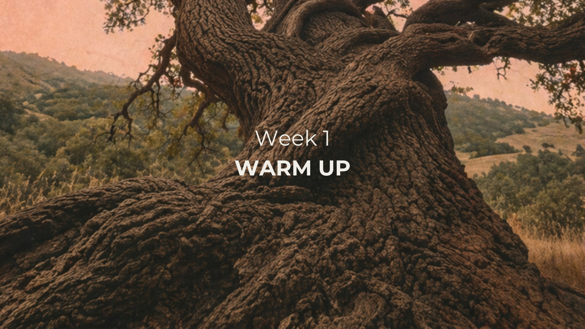 week 1 warm up.png