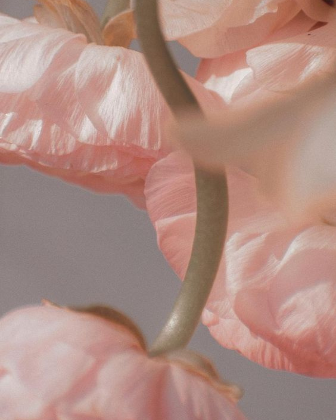 spring kundalini.png