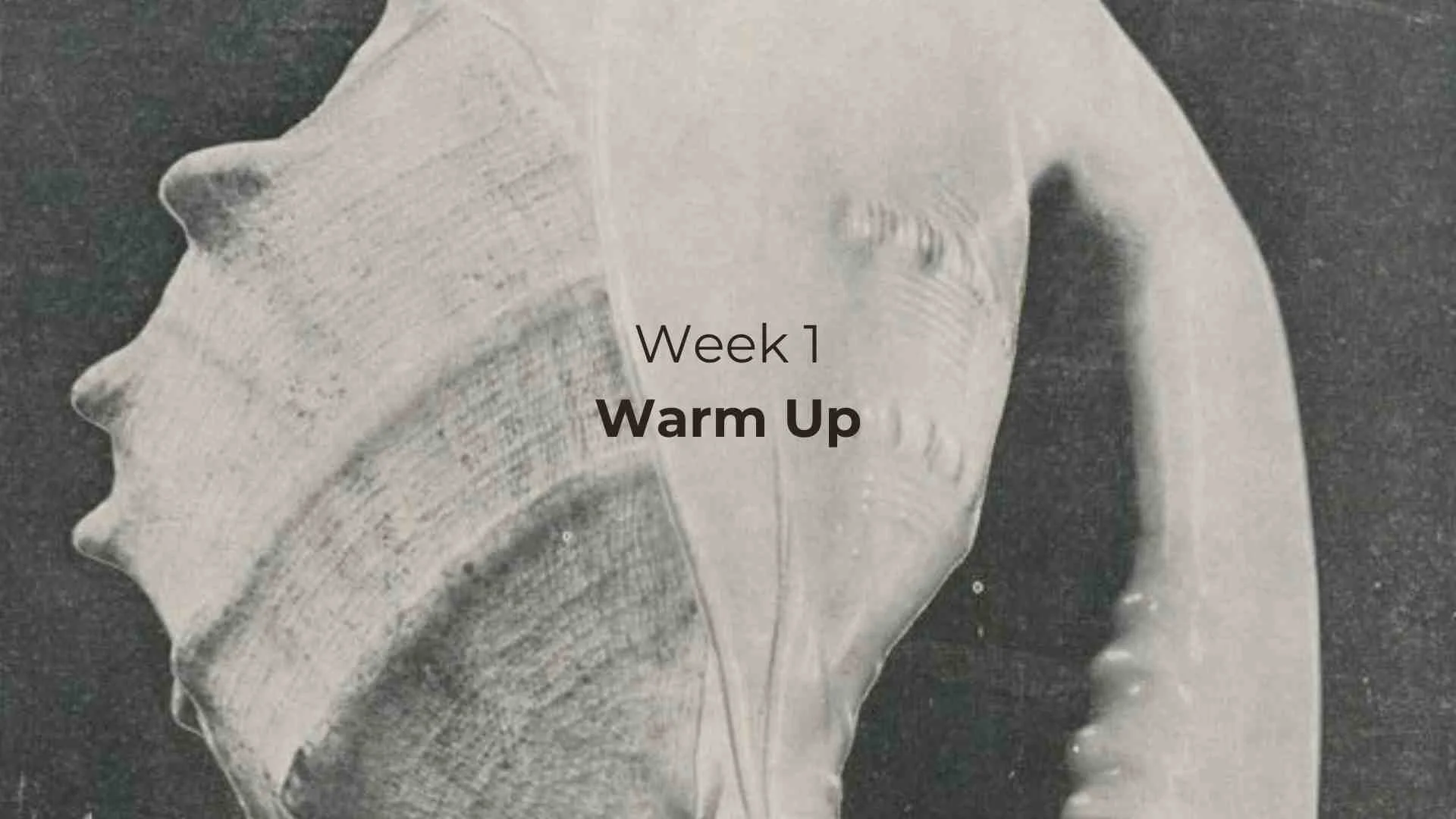 W1 warm up clear the fear.jpg