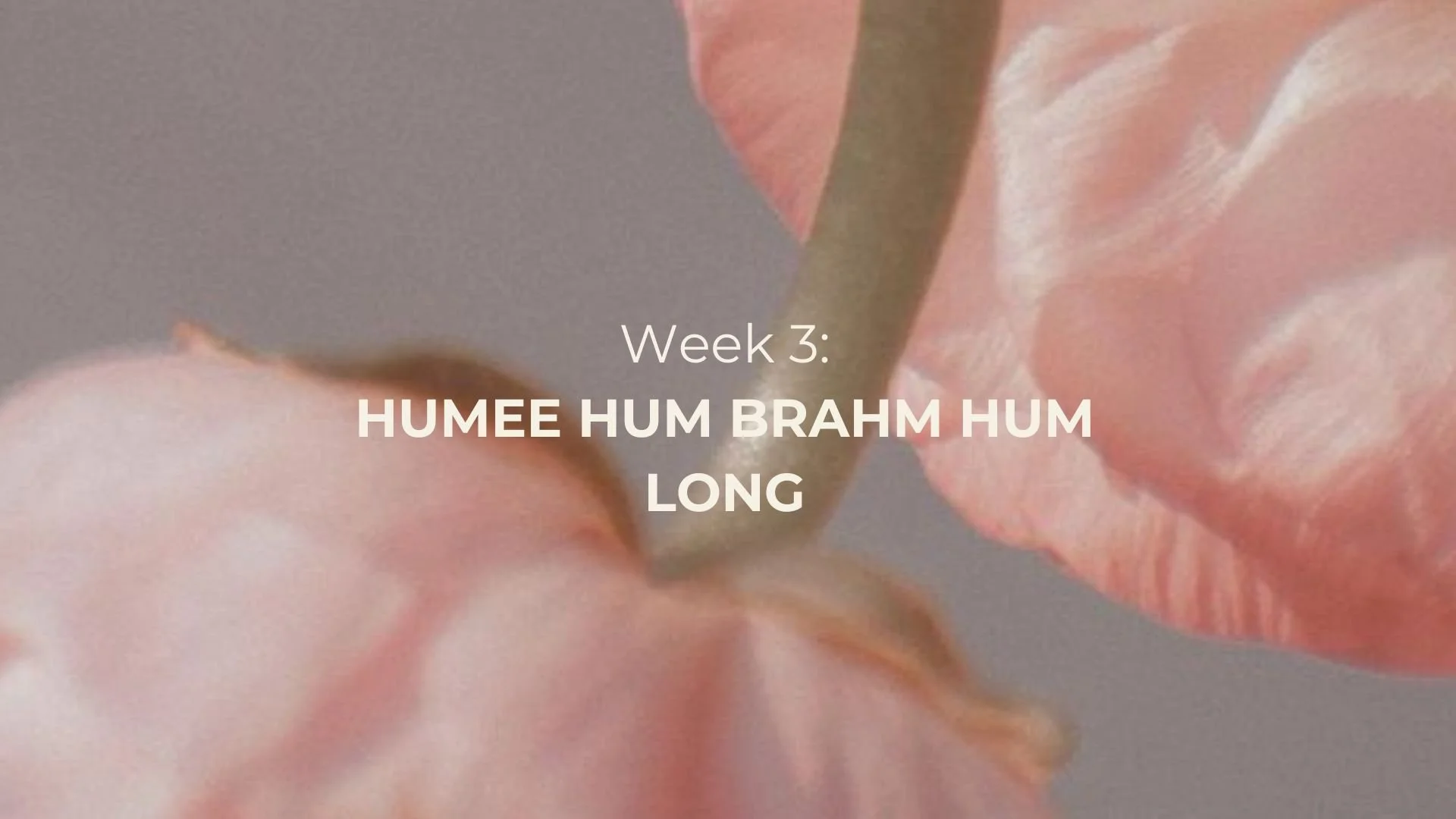 Spring W3 Long.jpg
