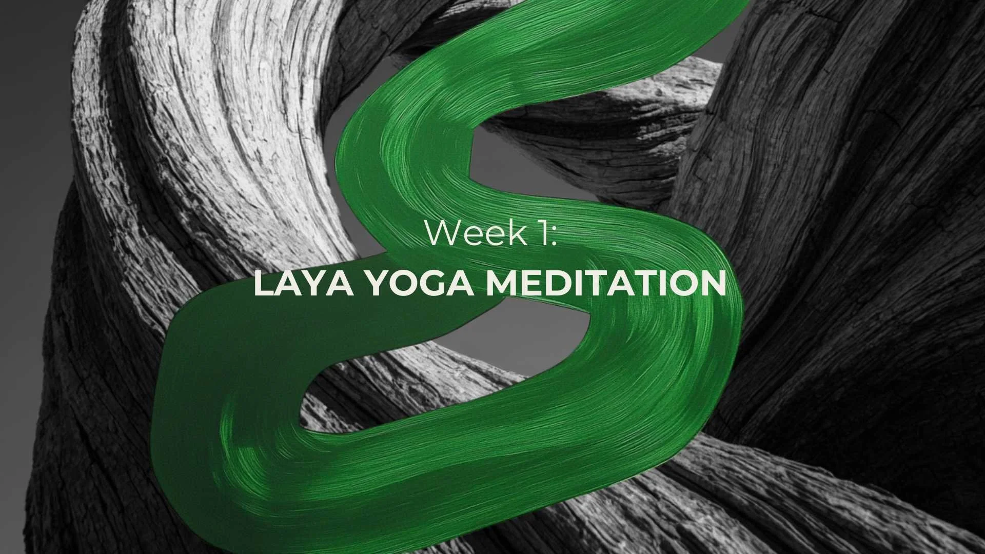 Horse Laya Yoga Meditation.jpg
