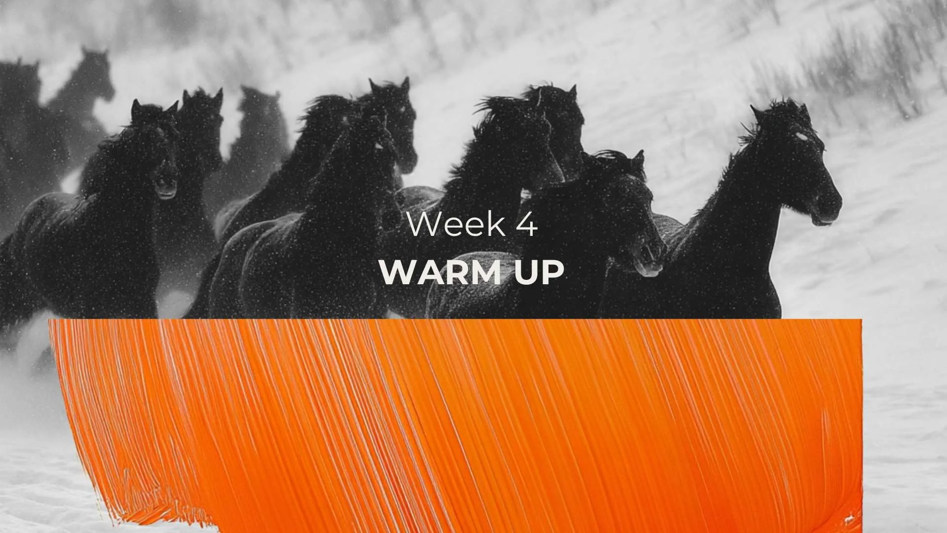 Horse W4 Warm up.jpg
