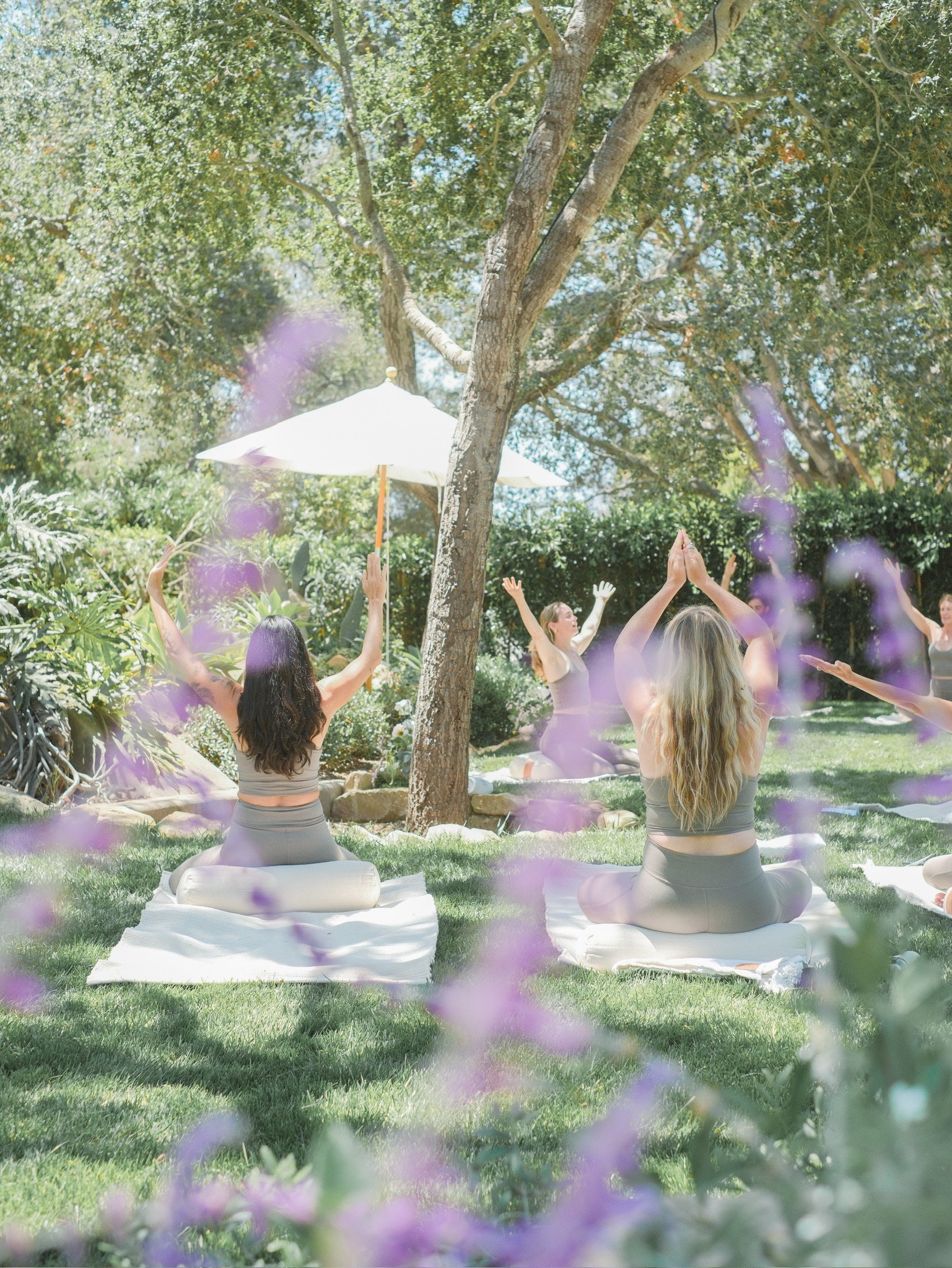 AuricField_Palma_07.25.26-38.JPG