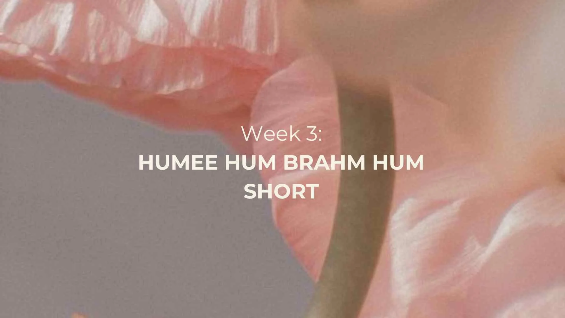 Humme Hum Brahm Hum SHORT.jpg