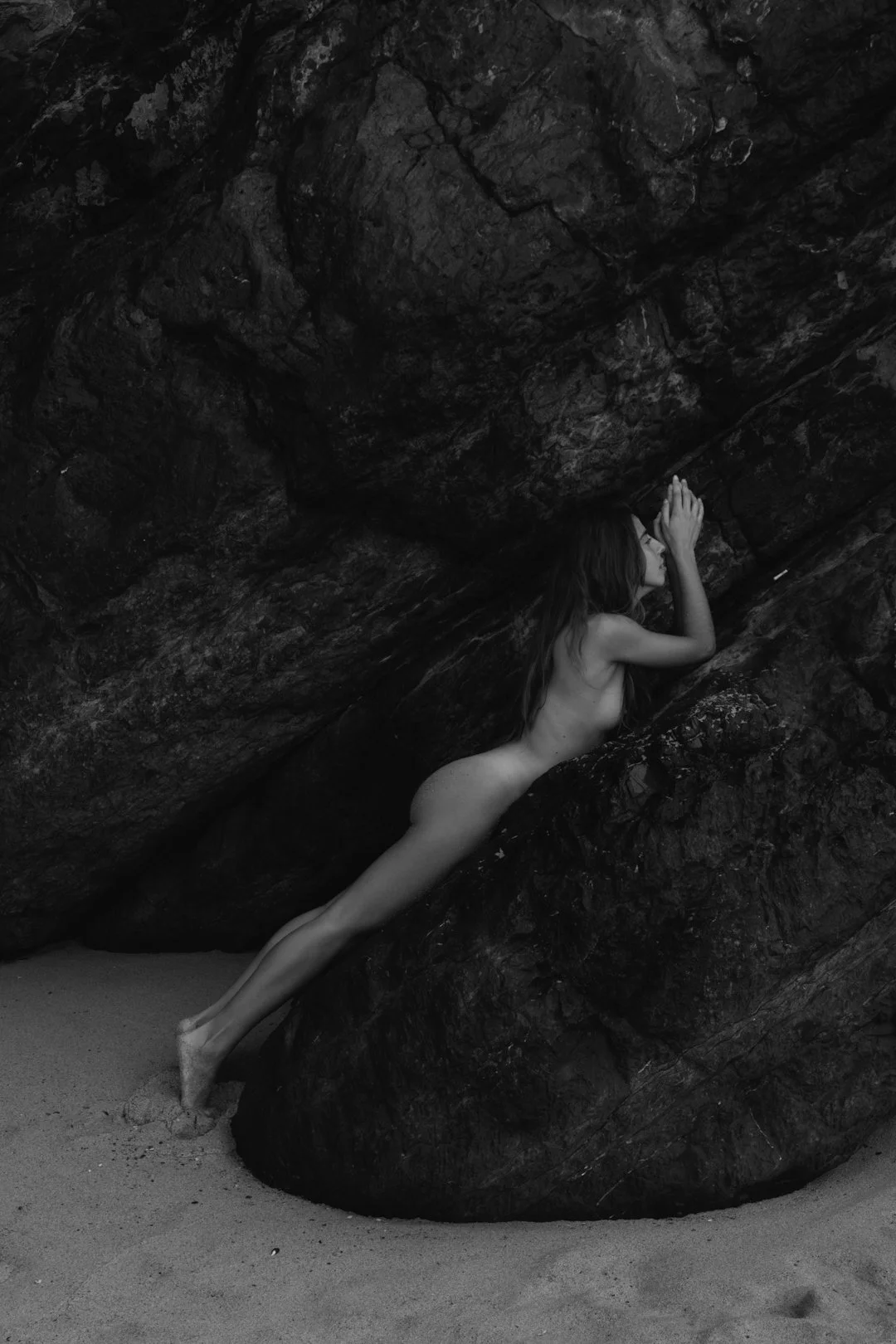Untamed