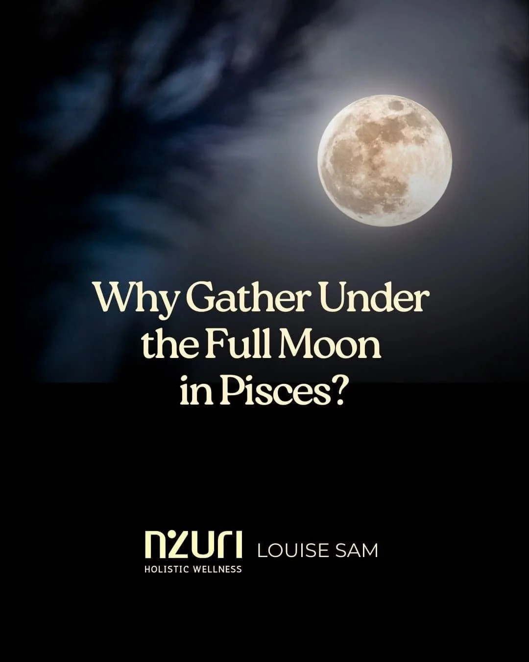 🌕✨ Why do we gather under the Pisces Full Moon?

The full moon is a powerful moment to pause, reflect and realign. Pisces adds its own special energy of intuition, compassion and healing, inviting you to dissolve illusions, release what no longer se