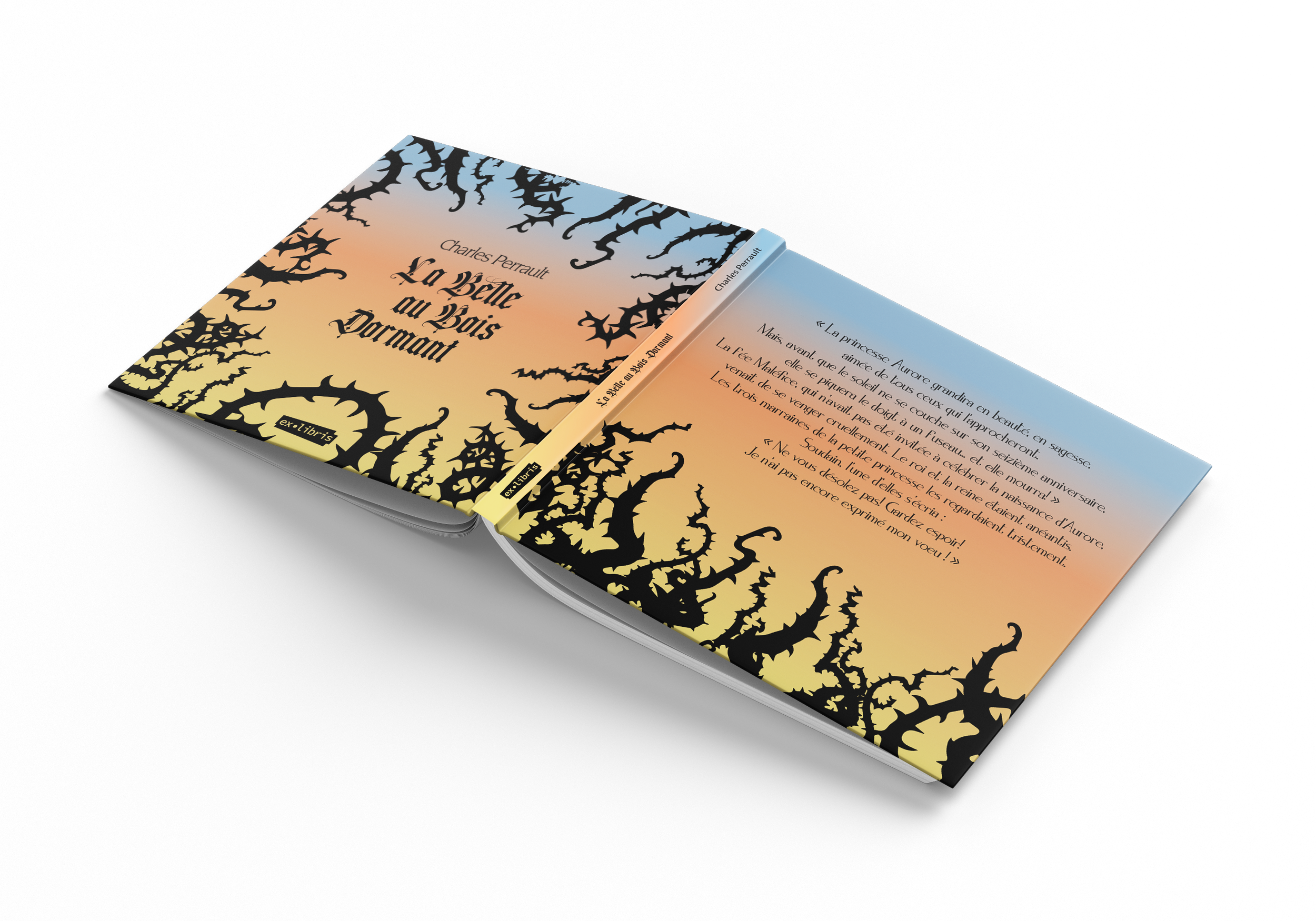 Square_Book_Mockup_7.png