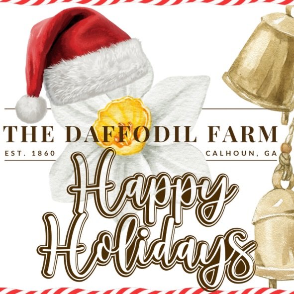 Happy holidays from all of us at The Daffodil Farm 🤍

We hope you are soaking in this season with the people you love most. Thank you to every family, couple, photographer, and small business who trusted us this year to be part of your memories. Fro