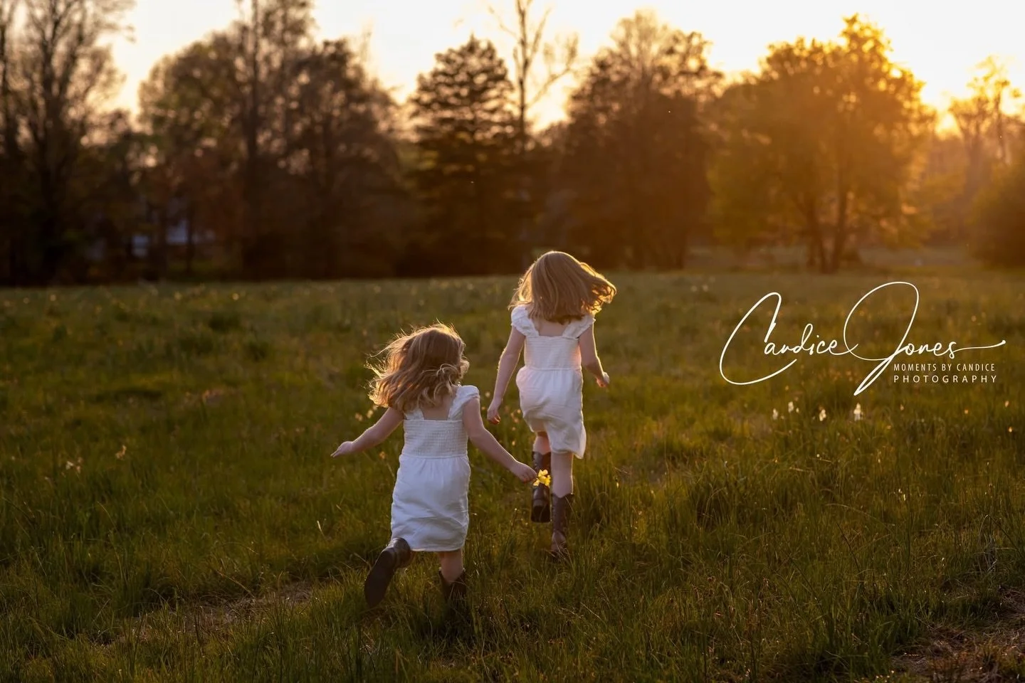 Little signs of what&rsquo;s to come&hellip;
Our daffodils are already beginning to peek up from the ground, and we can&rsquo;t help but get excited imagining these fields bursting into bloom in just a few short months 🌼

Spring is quietly on its wa