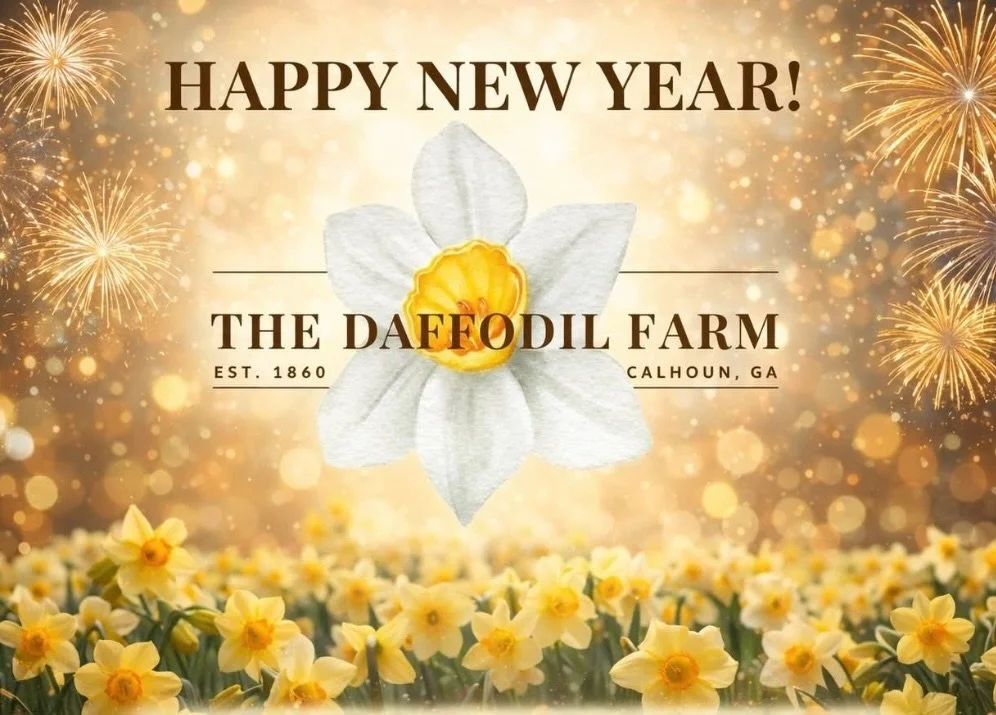 Happy New Year from us to you 🤍

To everyone who was part of our 2025 calendar&hellip; being able to host you and your clients at The Daffodil Farm truly meant the world to us. Thank you for trusting our little corner of North Georgia with so many b