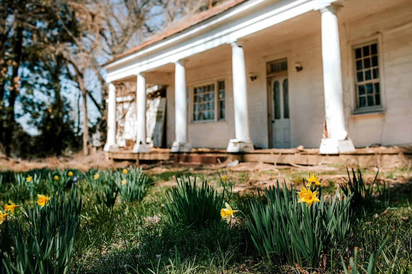 Minnie&rsquo;s porch will be covered in daffodils before we know it&hellip; 🌼
We&rsquo;re already starting to see signs of them popping up, and we have daffodil sessions booked on the calendar from mid-March through the end of April. This porch is p