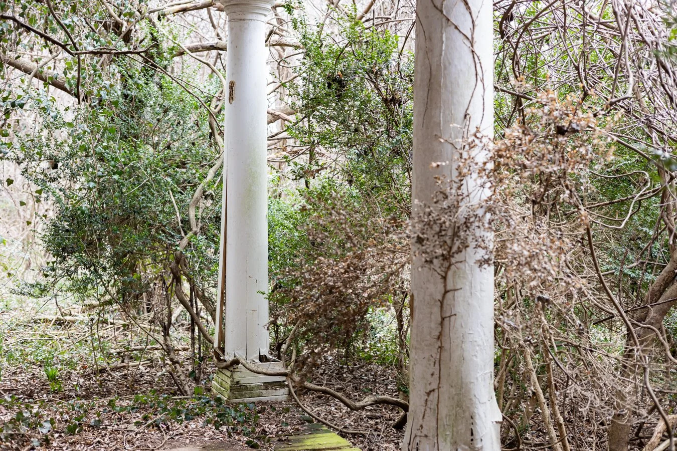 do you believe in ghosts?