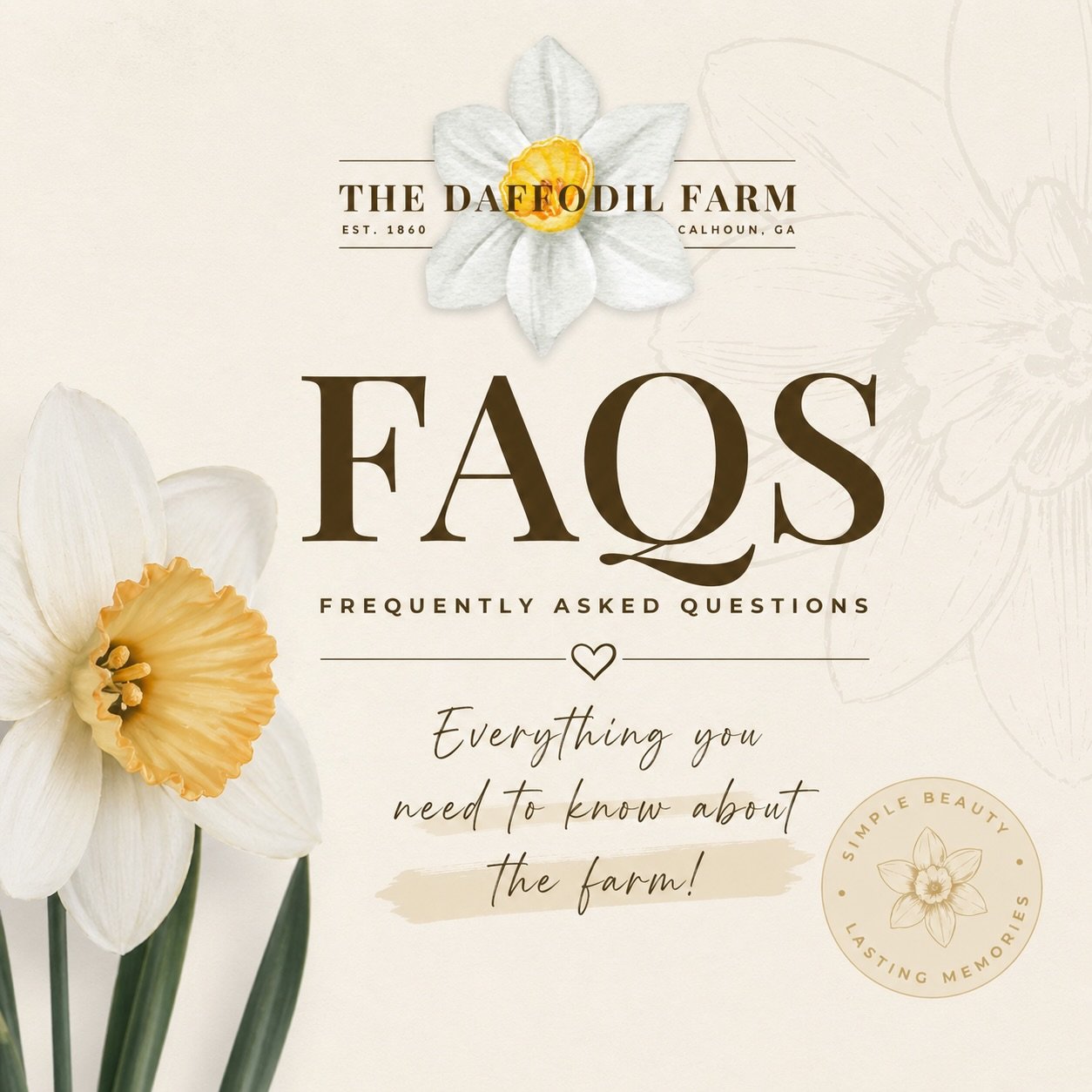 We get a lot of the same questions when people first visit The Daffodil Farm&hellip; so we pulled together our most frequently asked questions to make things easier for you 🤍

Our goal is always to help you create the most beautiful, seamless, and s