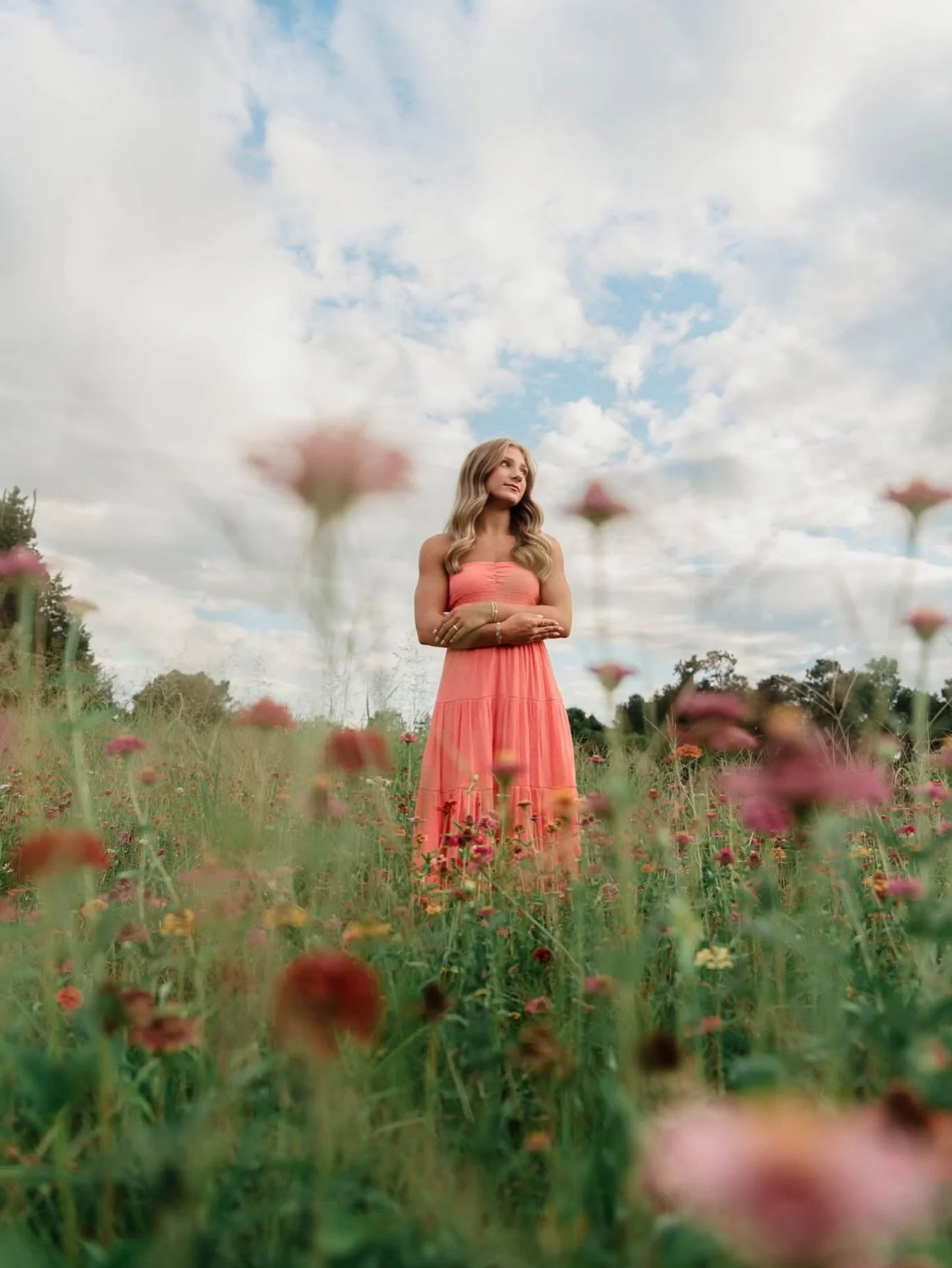 In case you missed it&hellip; The Daffodil Farm is expecting wildflowers next month 🌿✨

Bookings officially open June 6, and we&rsquo;ll continue sharing bloom updates as we get closer. If you&rsquo;re dreaming of wildflower sessions, now is the per