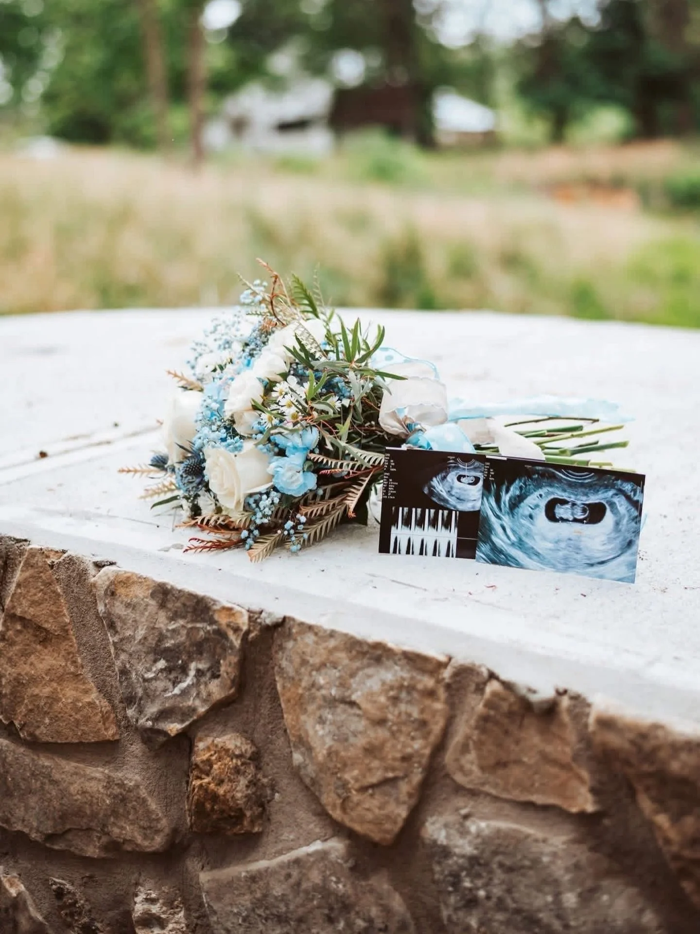 ✨ Some moments are simply unforgettable. ✨

Being a small part of your milestones and lifelong memories will never get old to us. From maternity sessions to gender reveals, we love watching families celebrate life&rsquo;s sweetest chapters here at Th