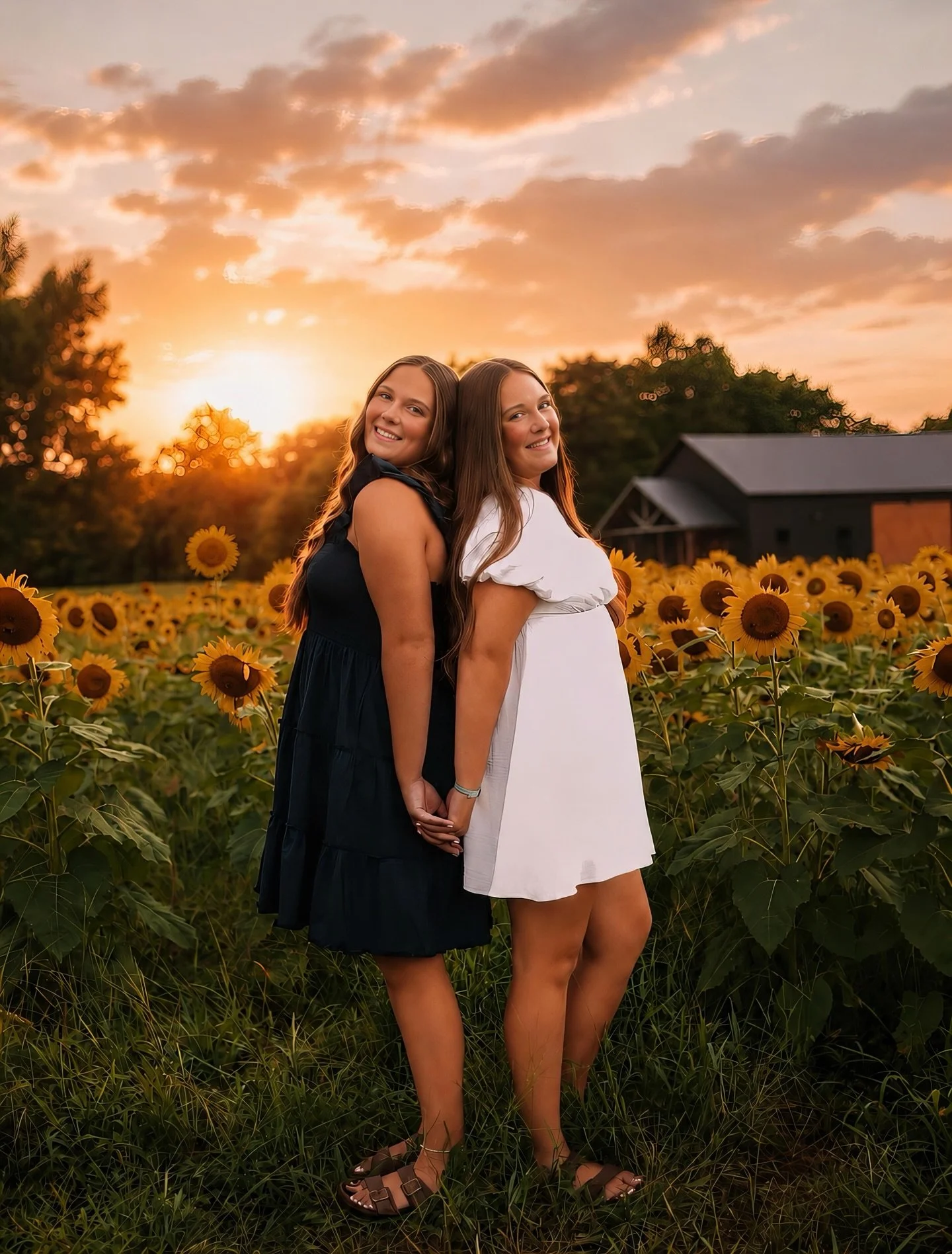 The sunflowers are putting on a show, and they won&rsquo;t be here forever. 🌻

If you&rsquo;ve been waiting to book a session, this is your sign. These golden blooms only last for a short time, and they&rsquo;re one of the most requested spots at th