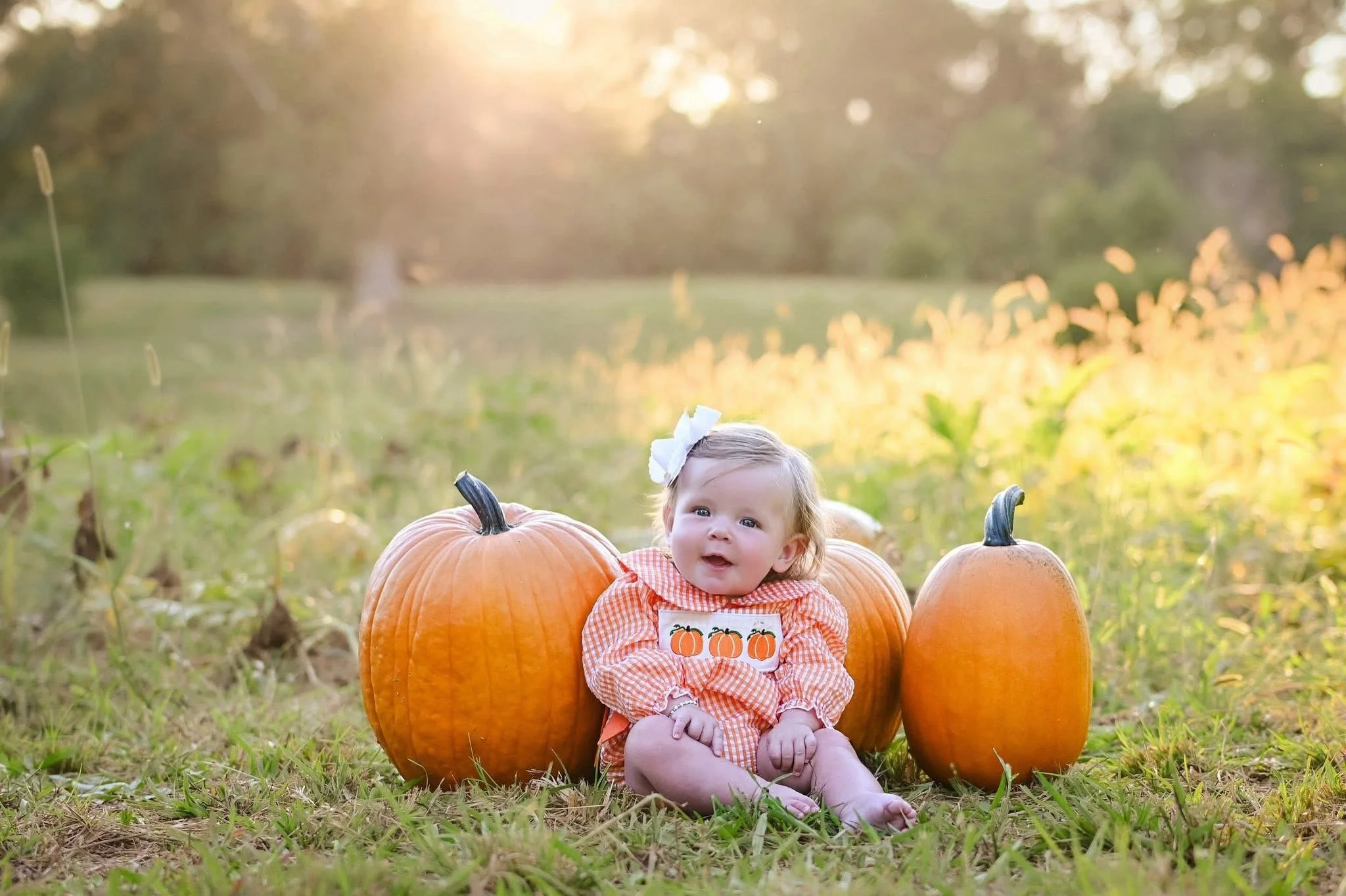 The cutest little pumpkin in the patch 🎃 Fall is just around the corner, and we can hardly wait!

📍The Daffodil Farm | Calhoun, GA
By appointment only