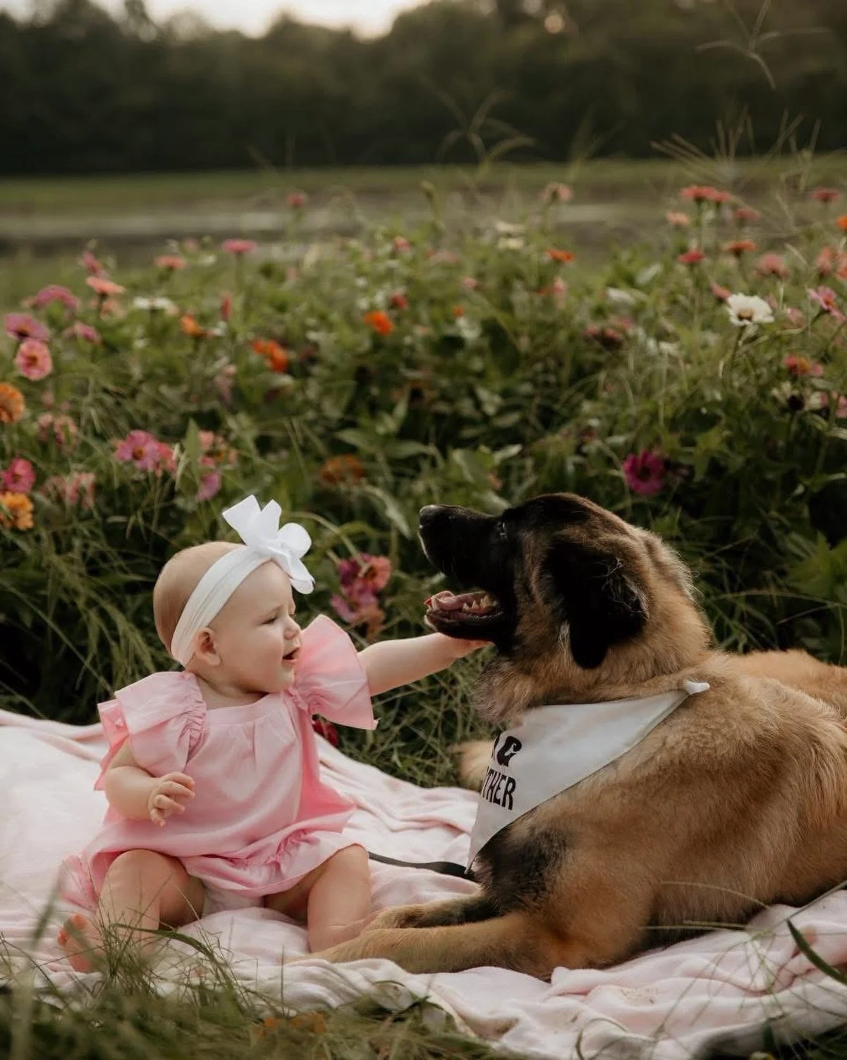 Sweet moments with your favorite sidekick 🐾🌸 We still have a few flowers in bloom, but they won&rsquo;t last much longer!

📍 Calhoun, GA
By appointment only
📸: @jsurophotoco