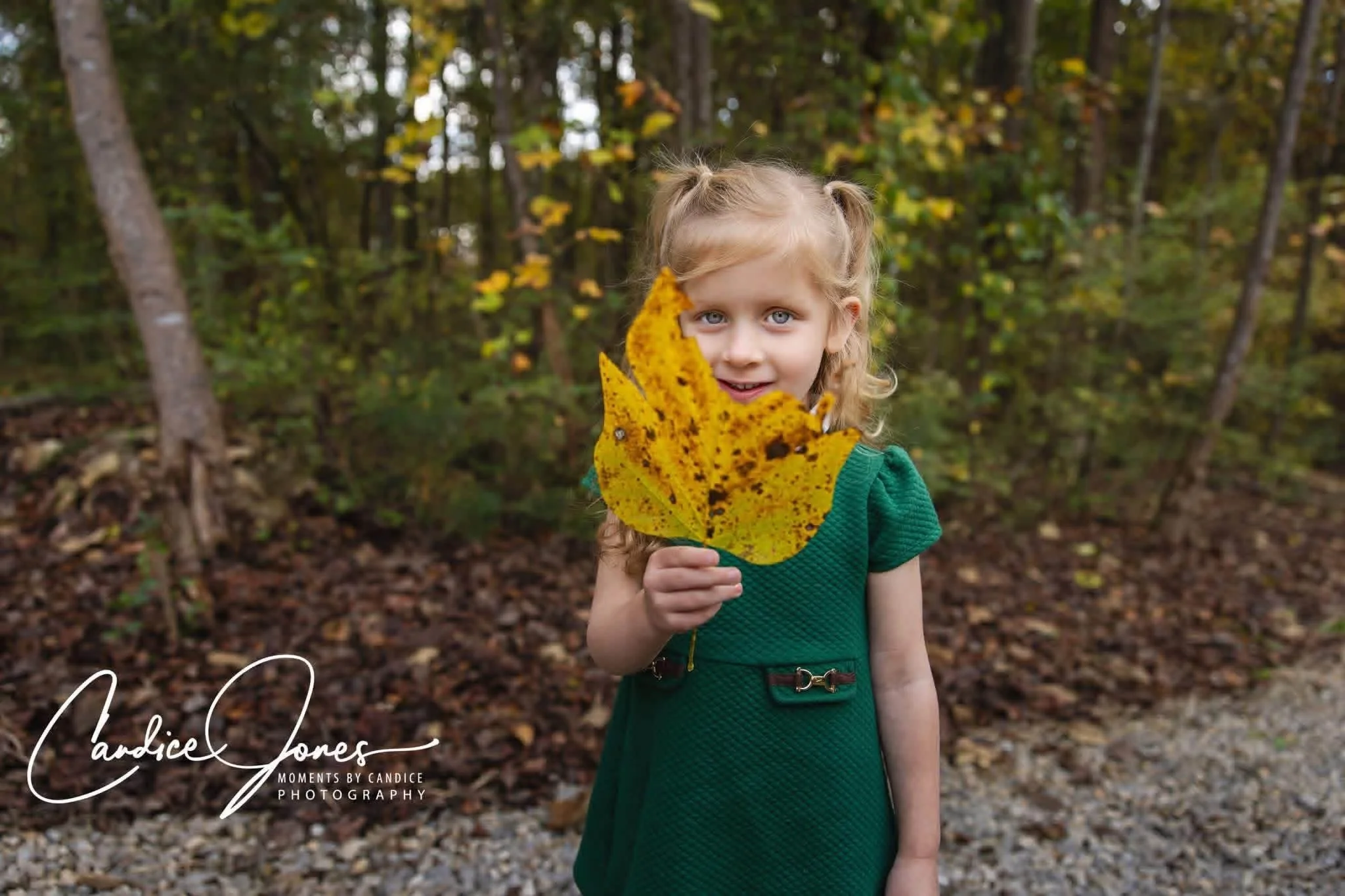 Little explorers, big adventures. 🍂

Sometimes the sweetest moments happen when you slow down, wander a little, and see the world through their eyes.

From collecting colorful leaves to discovering all the little treasures nature has to offer, there