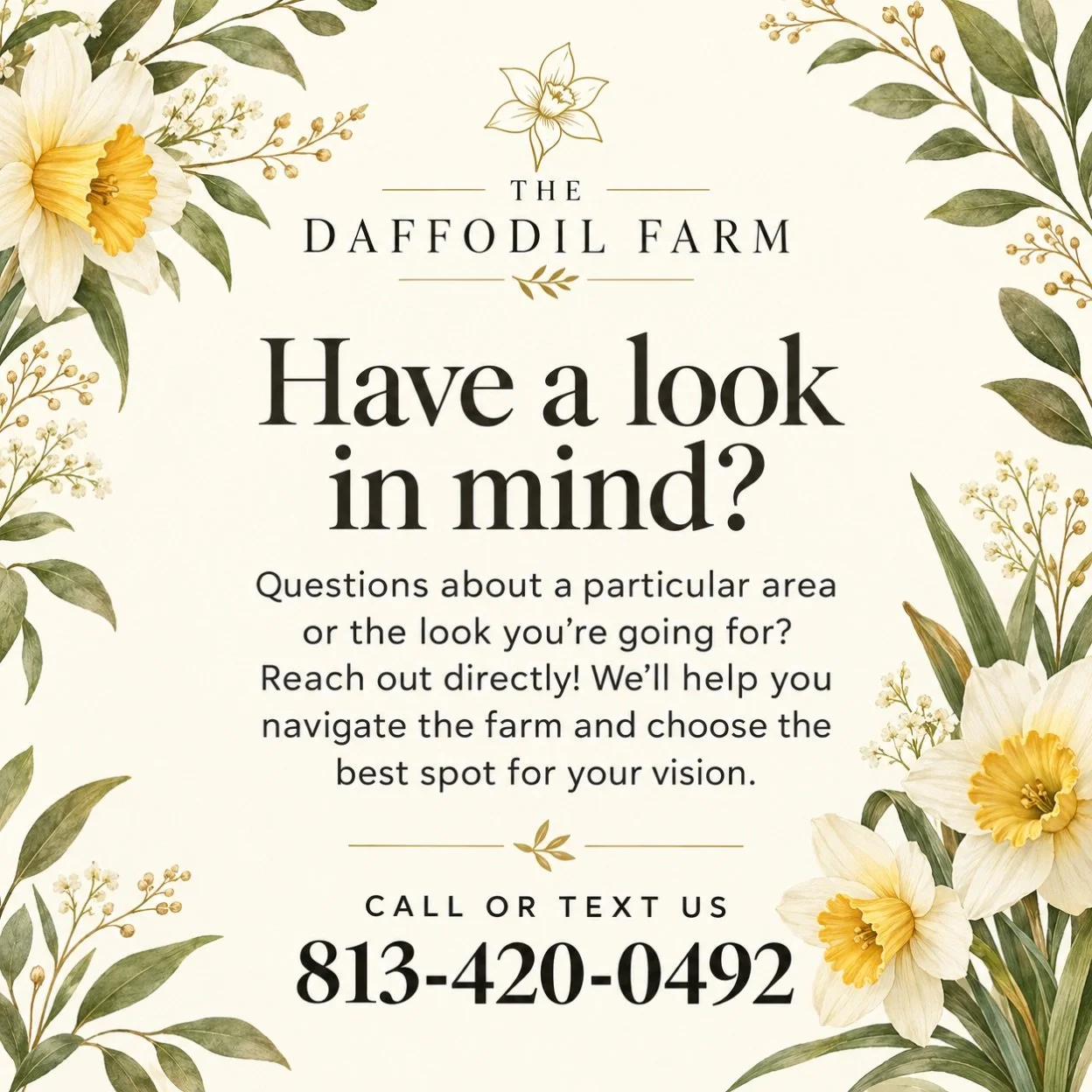Have a particular look in mind for your next session at The Daffodil Farm?

Whether you have questions about an area or need help finding the perfect backdrop, we&rsquo;re happy to guide you. Reach out directly so we can help you navigate the farm an