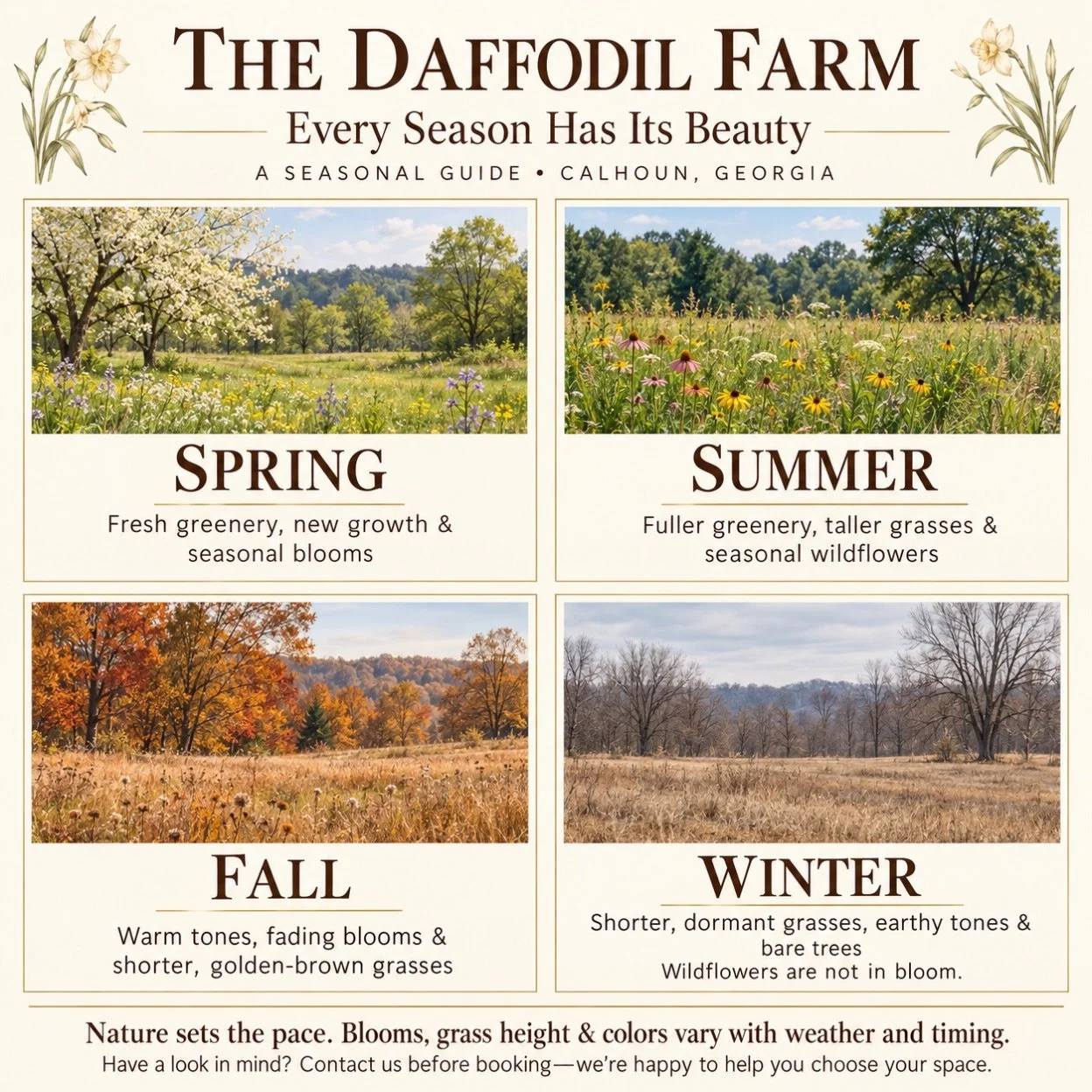 Every season brings a different kind of beauty to The Daffodil Farm.

Our farm is a natural canvas that changes throughout the year. If you&rsquo;re envisioning wildflowers, lush greenery, or taller grasses, spring and summer generally offer those lo
