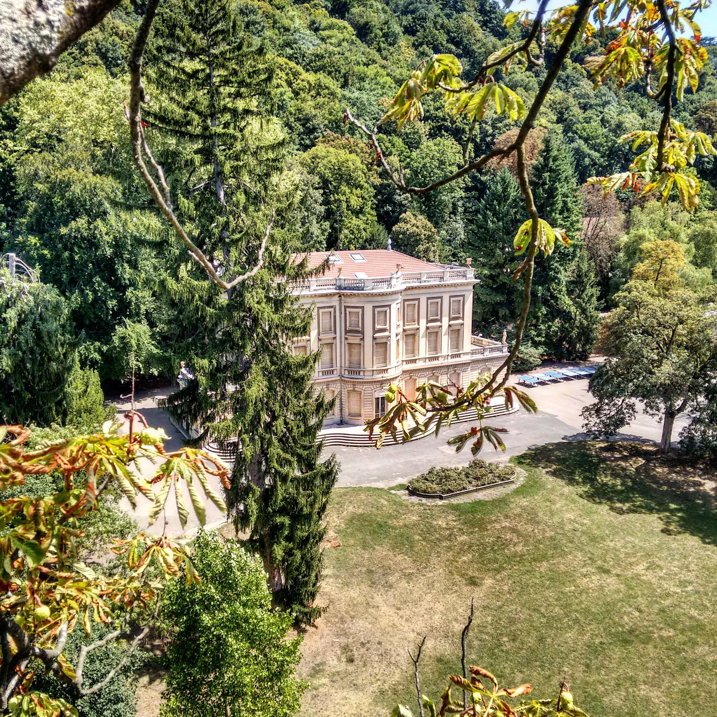 Élagage sécurisé à Caluire-et-Cuire près de l’école internationale Ombrosa, gestion professionnelle d’arbres en environnement urbain