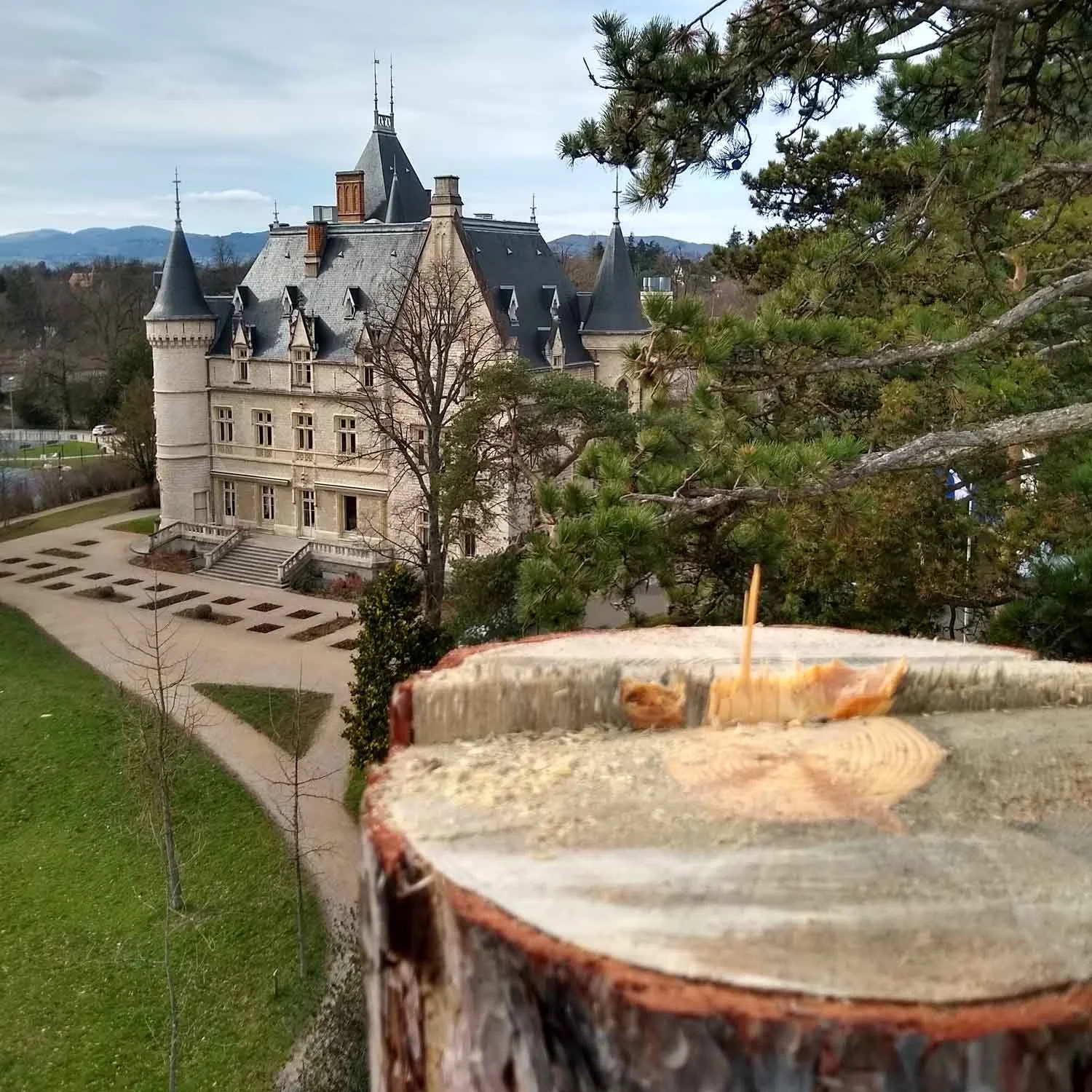 Abattage contrôlé d’un pin au Parc du Vivier à Écully, avec le château du Lyfe Institute en arrière-plan, intervention sécurisée en environnement patrimonial