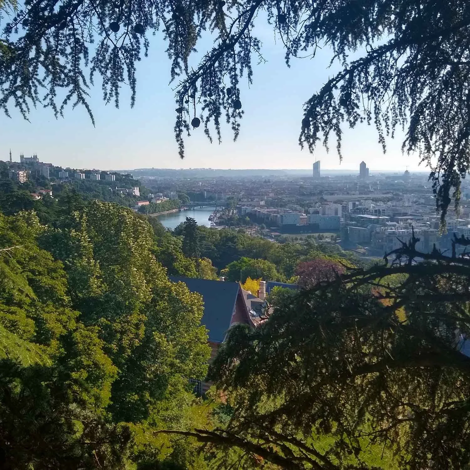 Vue arborée sur la région lyonnaise et la vallée de la Saône, illustrant les zones d’intervention d’Arbrecologie.