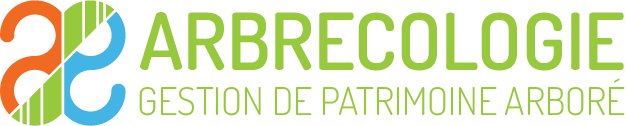 Arbrecologie - Experts en arboriculture dans la région lyonnaise