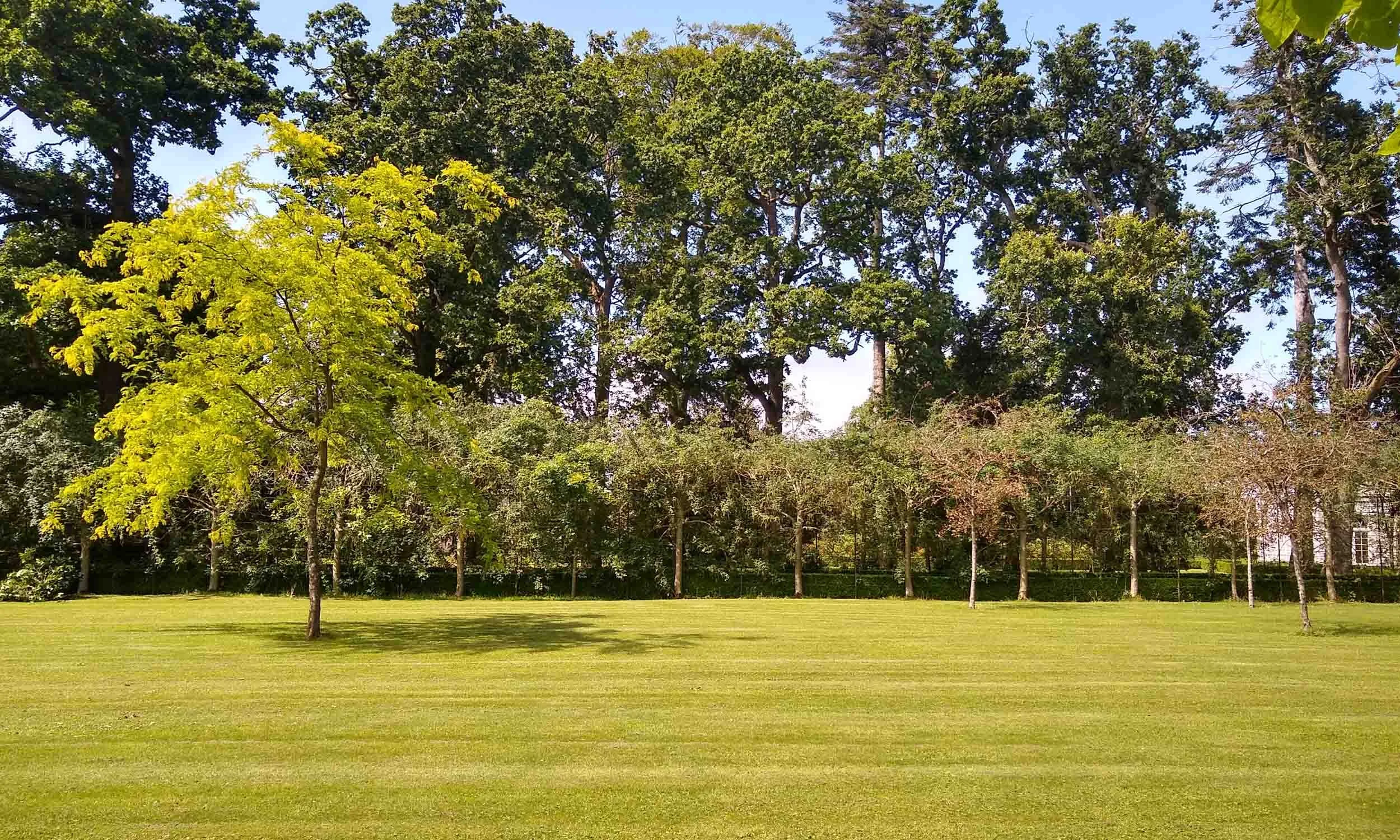 Jardin arboré avec alignement d’arbres matures entretenus, illustrant une gestion réfléchie du patrimoine arboré en région lyonnaise.