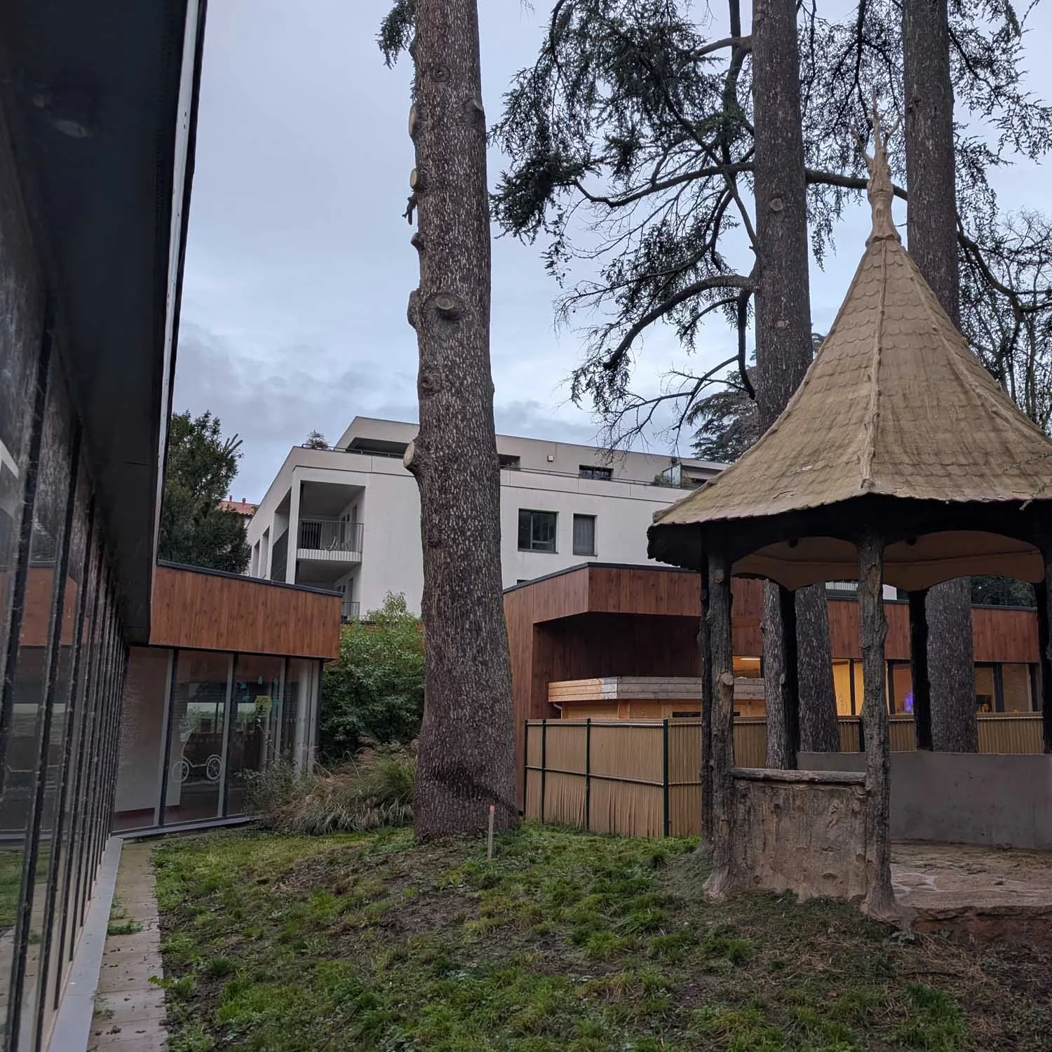 Cèdres morts situés à proximité d’une crèche à Écully avant démontage progressif.