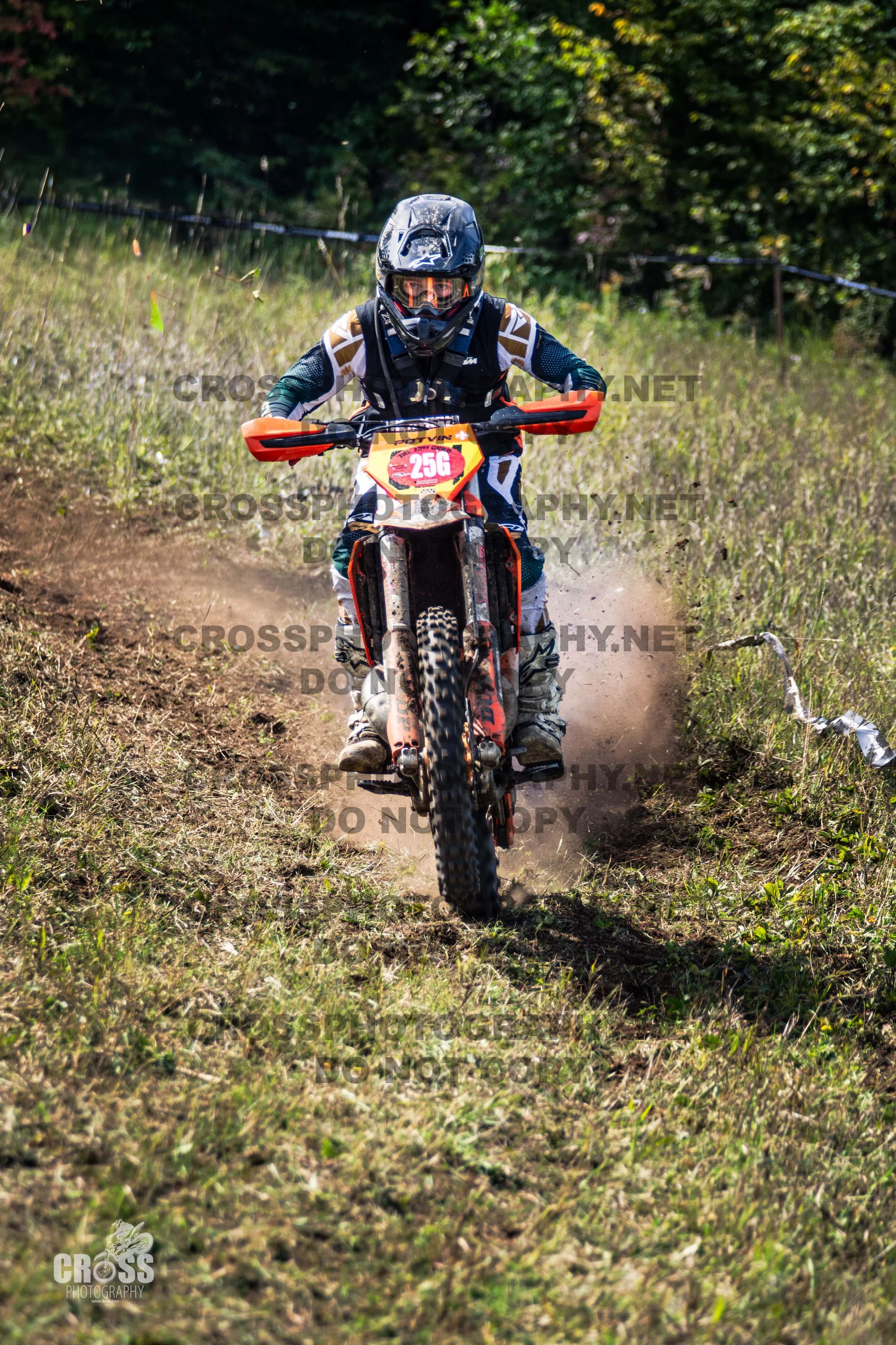 _SJC5593-25g.jpg