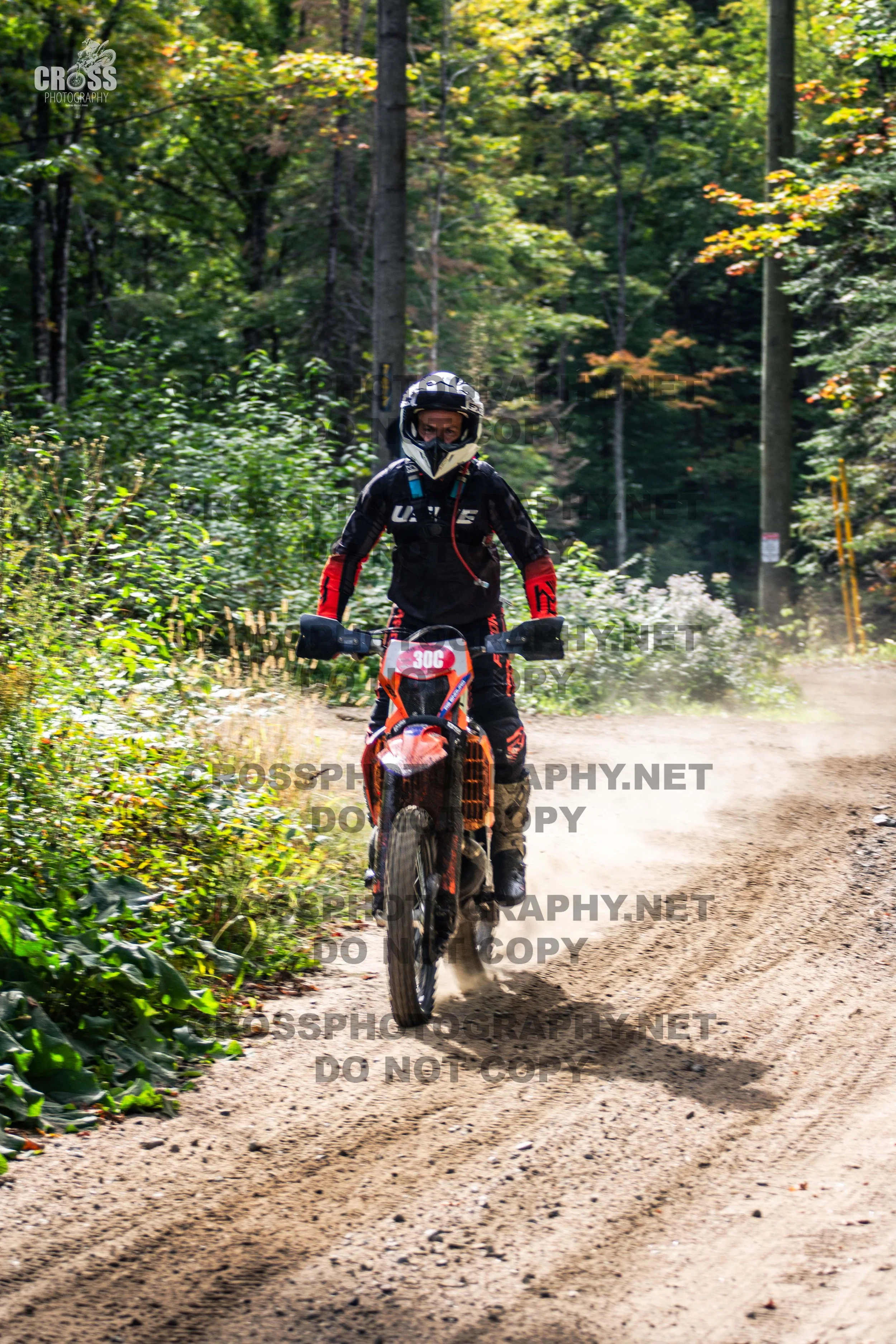 _SJC5344-30c.jpg