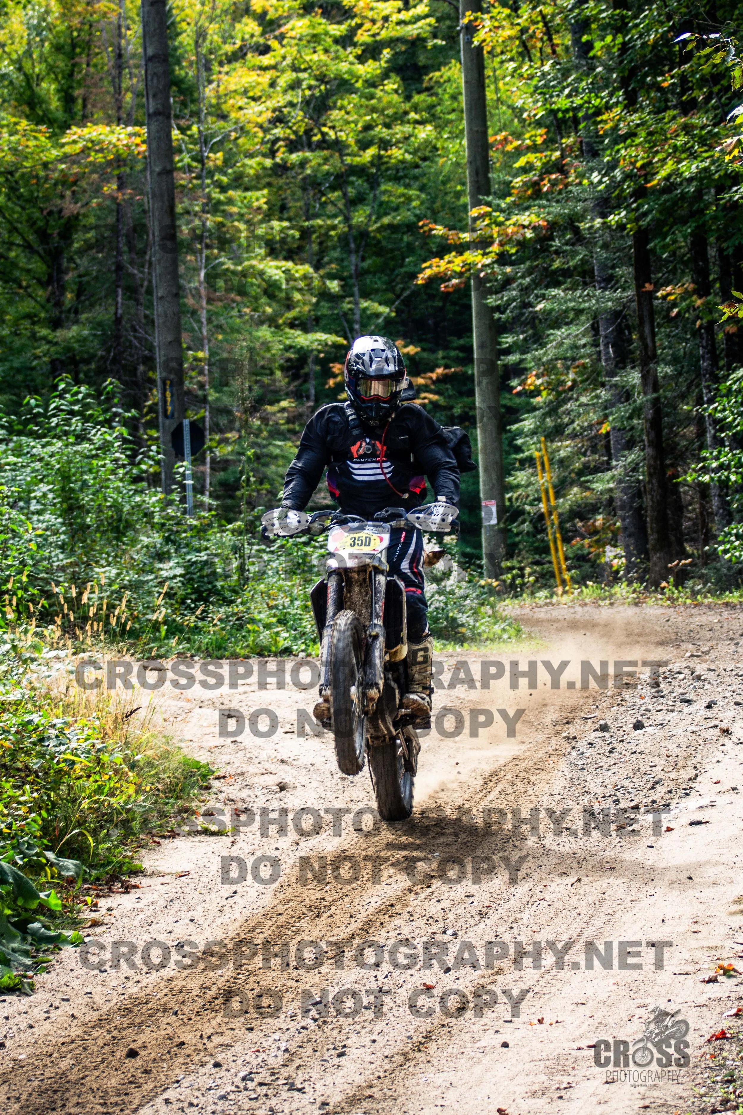 _SJC5330-35d.jpg