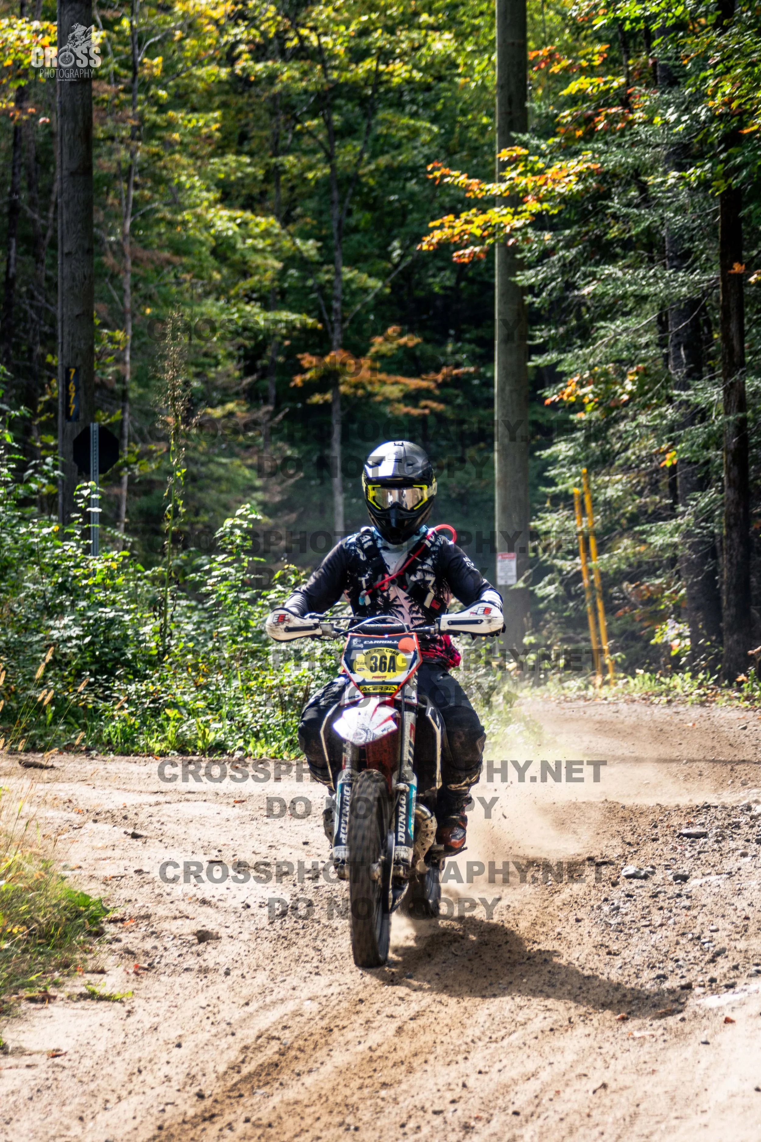 _SJC5352-36a.jpg