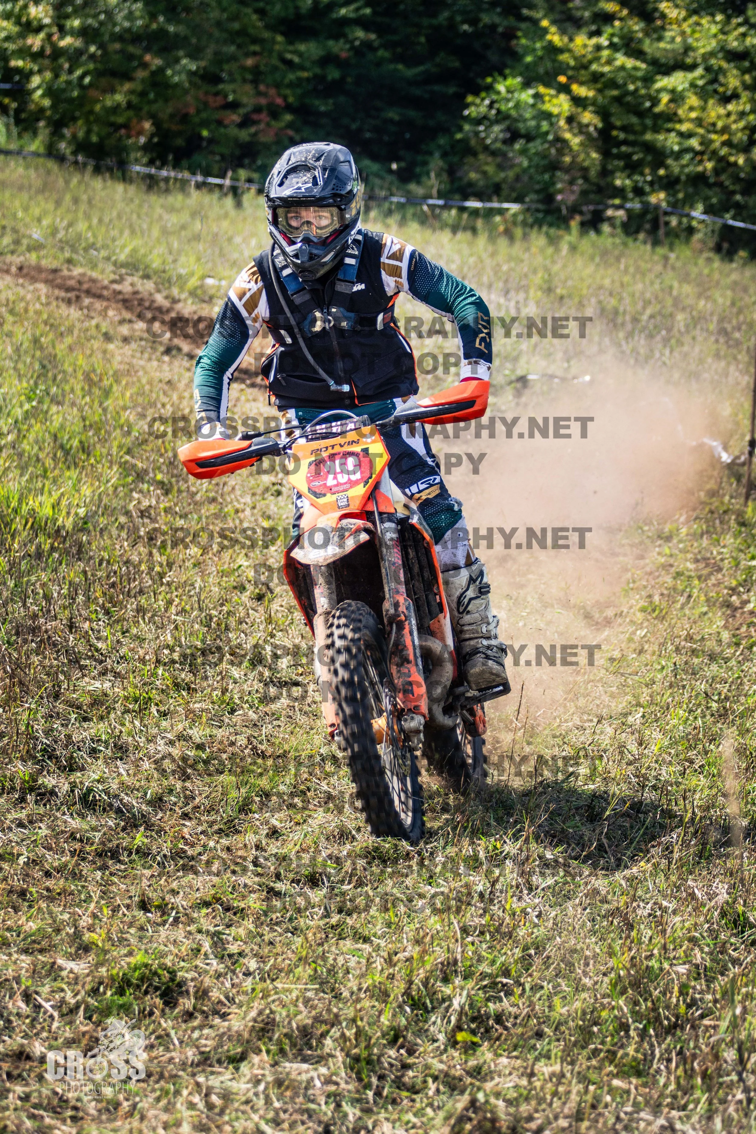 _SJC5594-25g.jpg