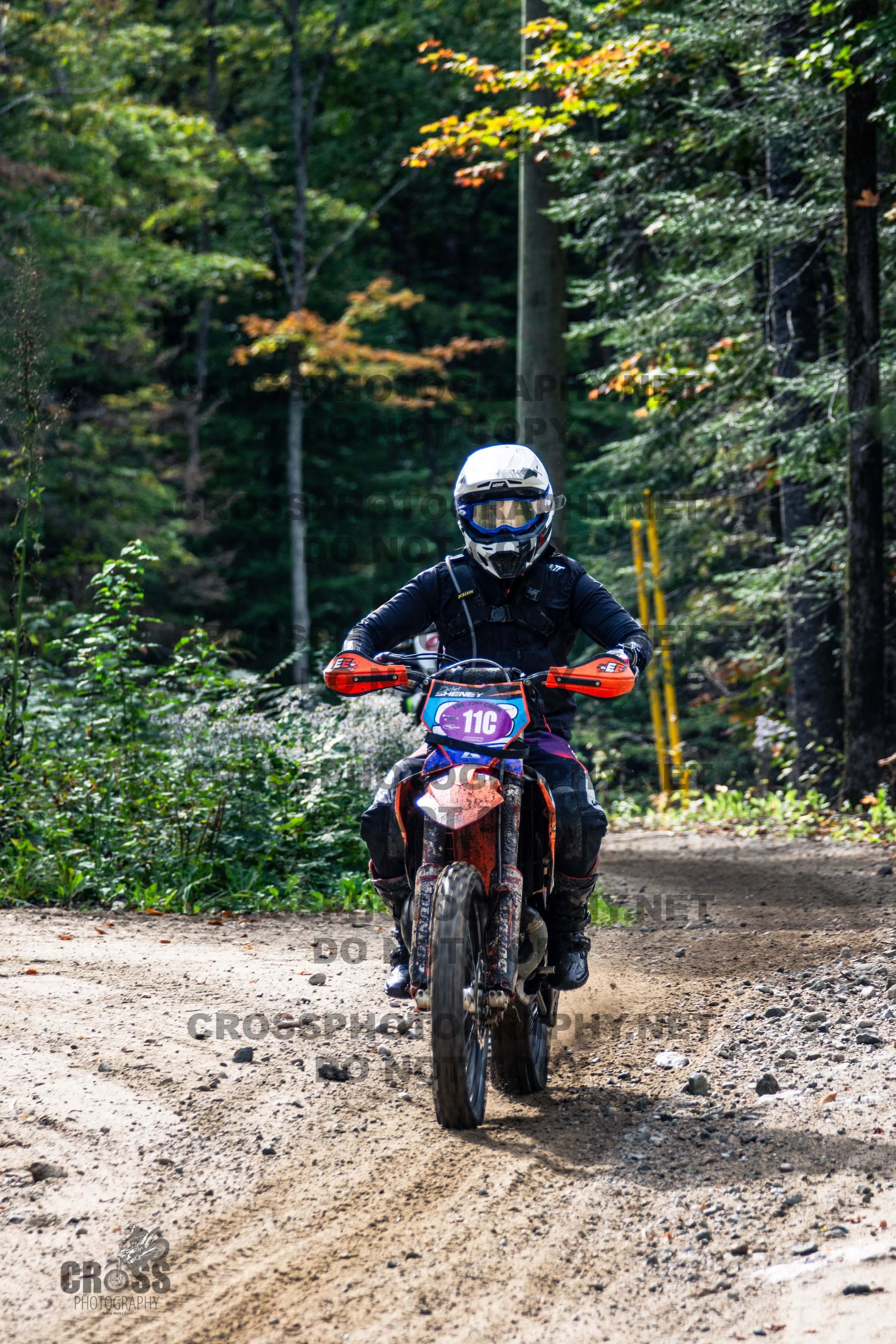 _SJC5248-11c.jpg